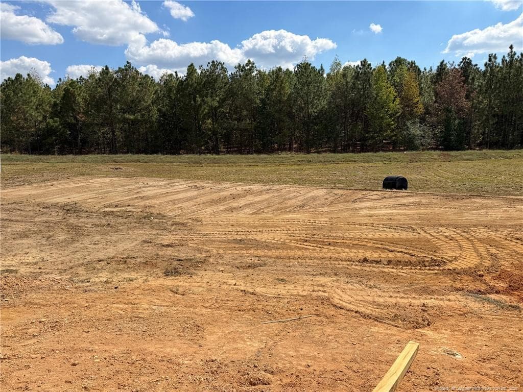 Photo taken: 9/29/2026 - 431 Thorntons Creek Drive, Erwin, NC 28339