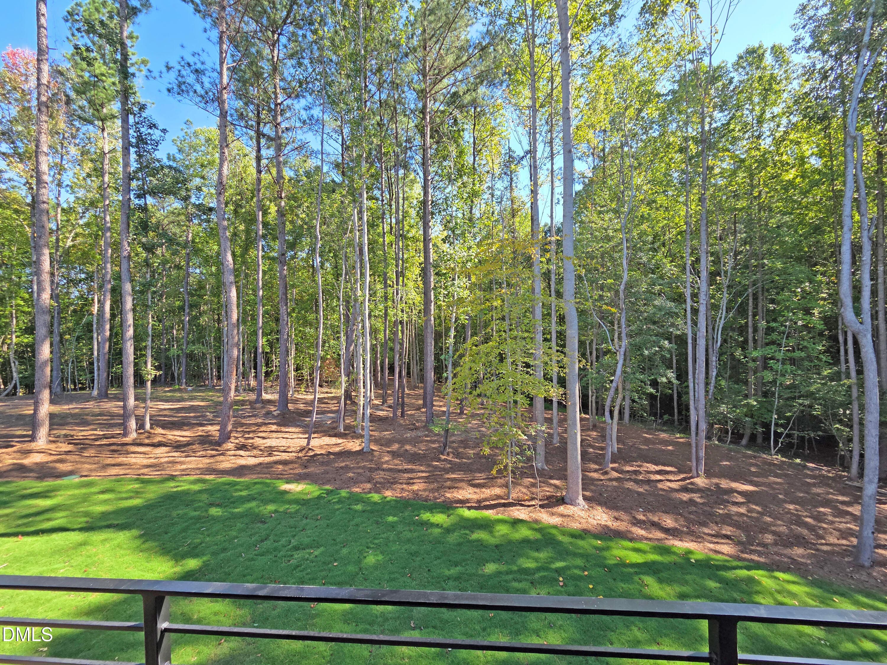 20260929_103653 - 404 Shinleaf Pond Trail, Raleigh, NC 27614