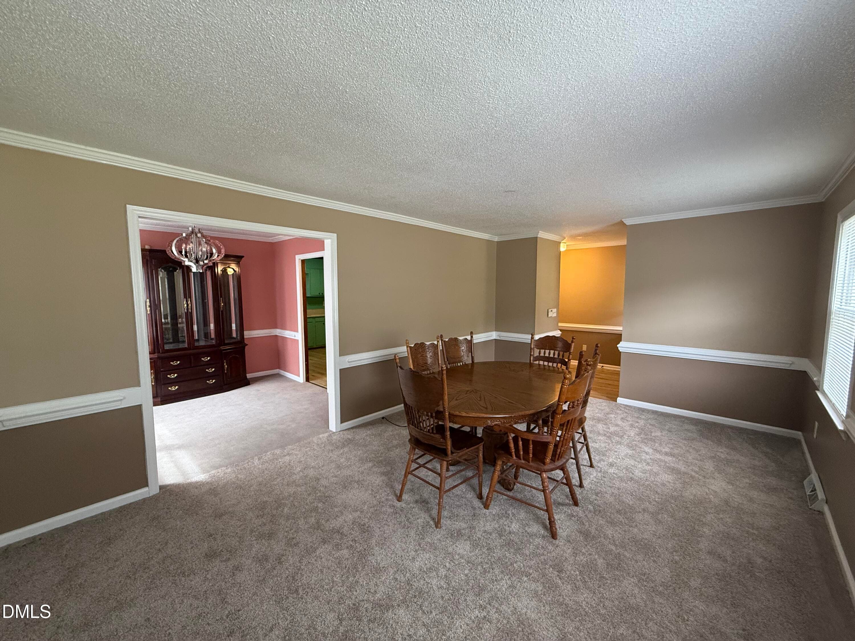 IMG_3856 - 124 Martin Sasser Drive, Rocky Mount, NC 27801
