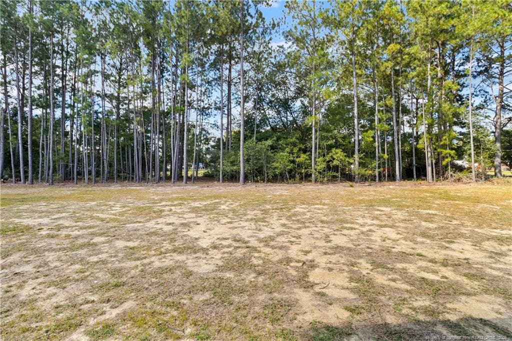 Photo 33 - 212 Nandina Road, Raeford, NC 28376