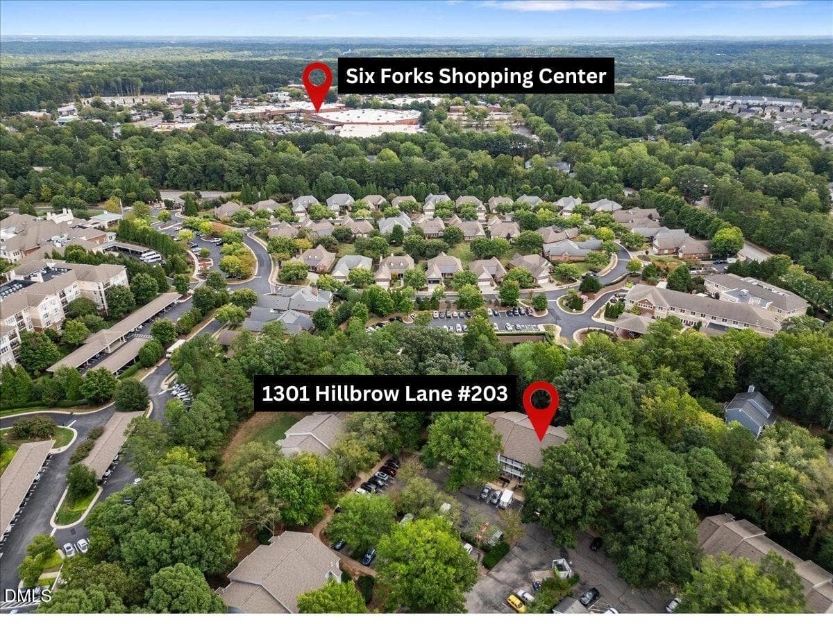 Ariel View - 1301 Hillbrow Lane 203, Raleigh, NC 27615