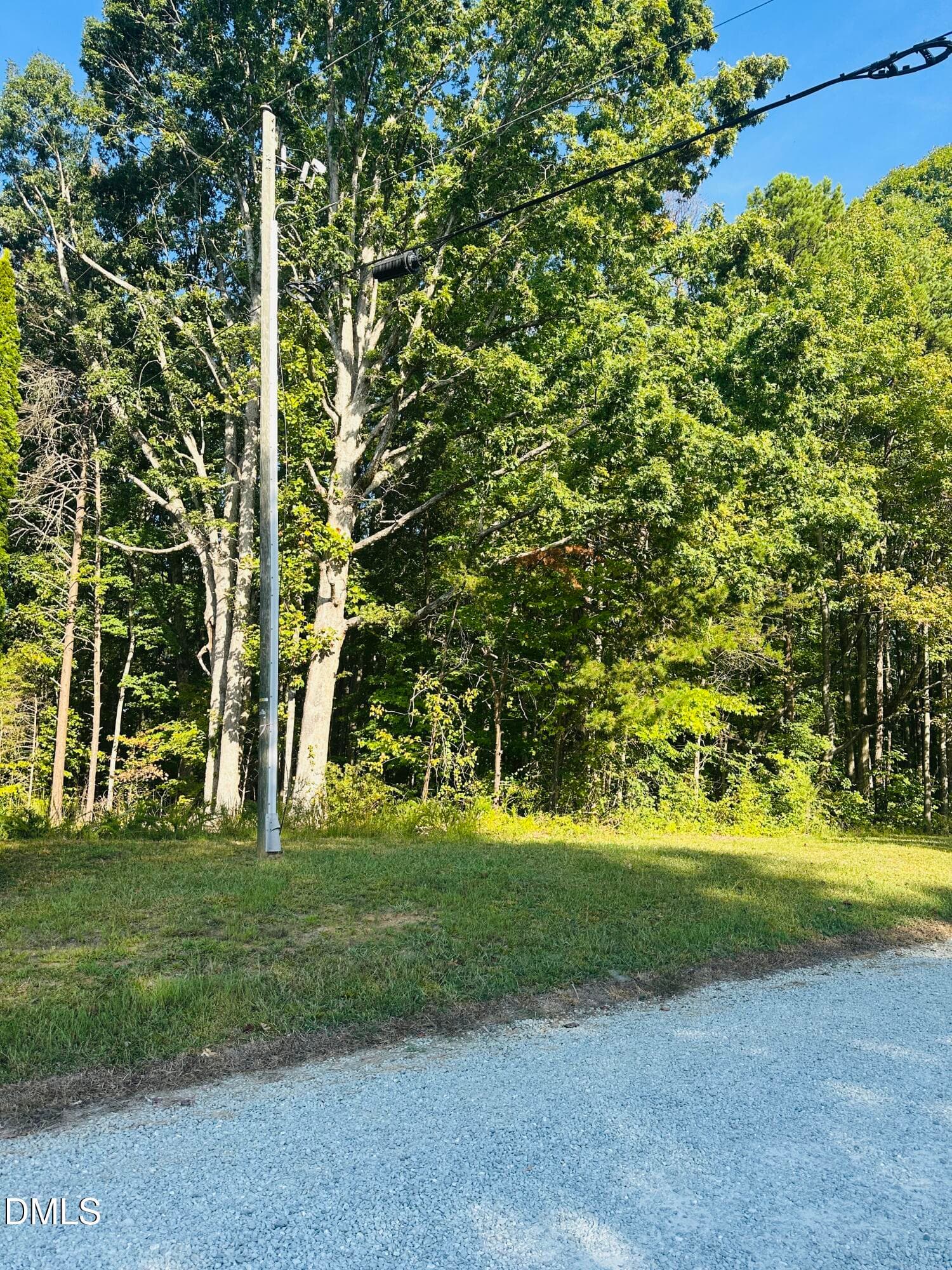 IMG_0367 - 4 Salem Pond Drive, Hurdle Mills, NC 27541