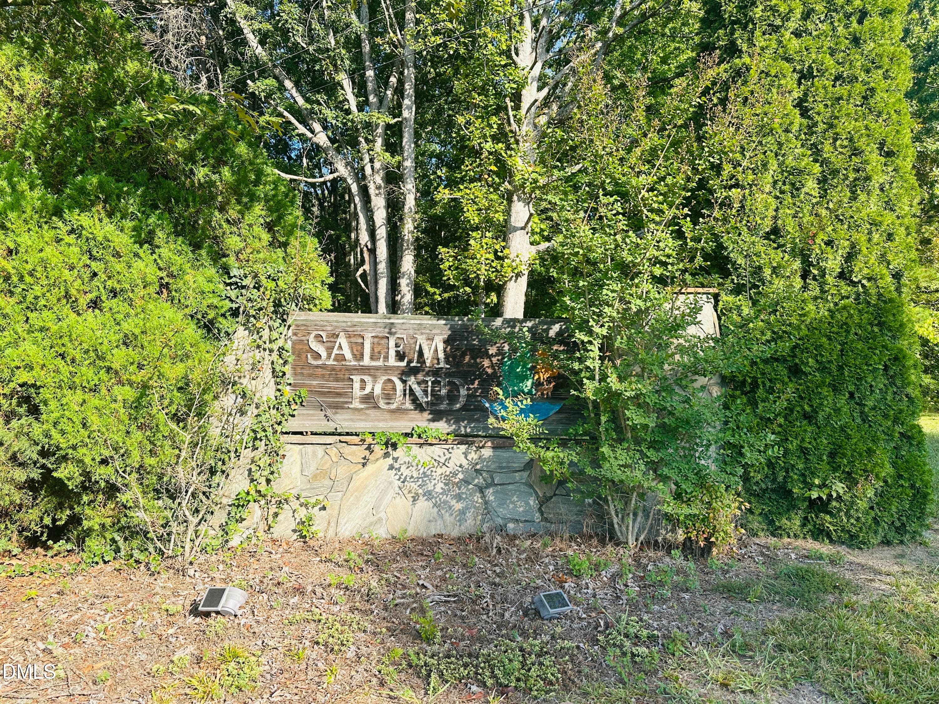 4 Salem Pond Drive, Hurdle Mills, NC 27541