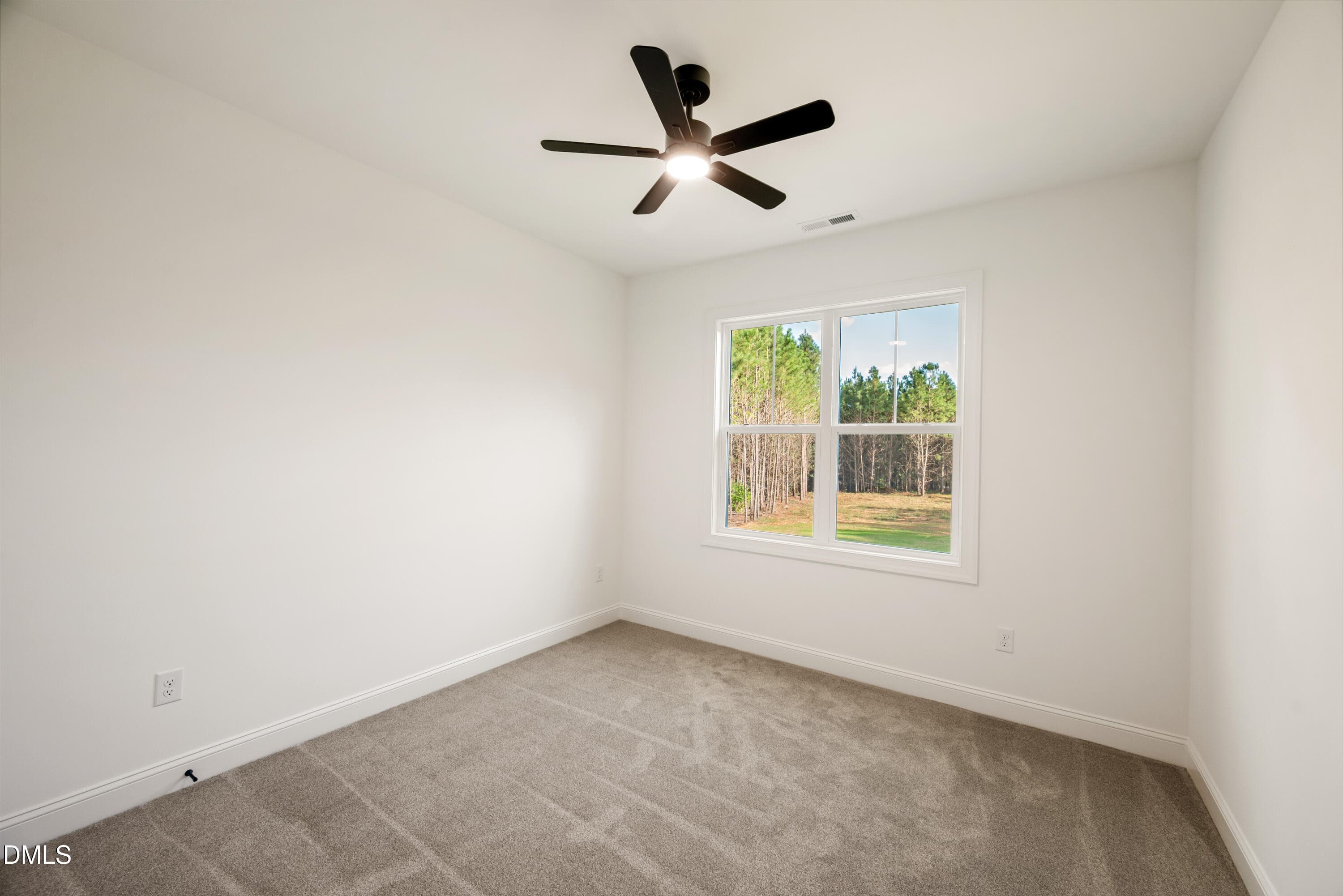 Lot 113 Peachtree-17 - 8625 Savage Road, Spring Hope, NC 27882