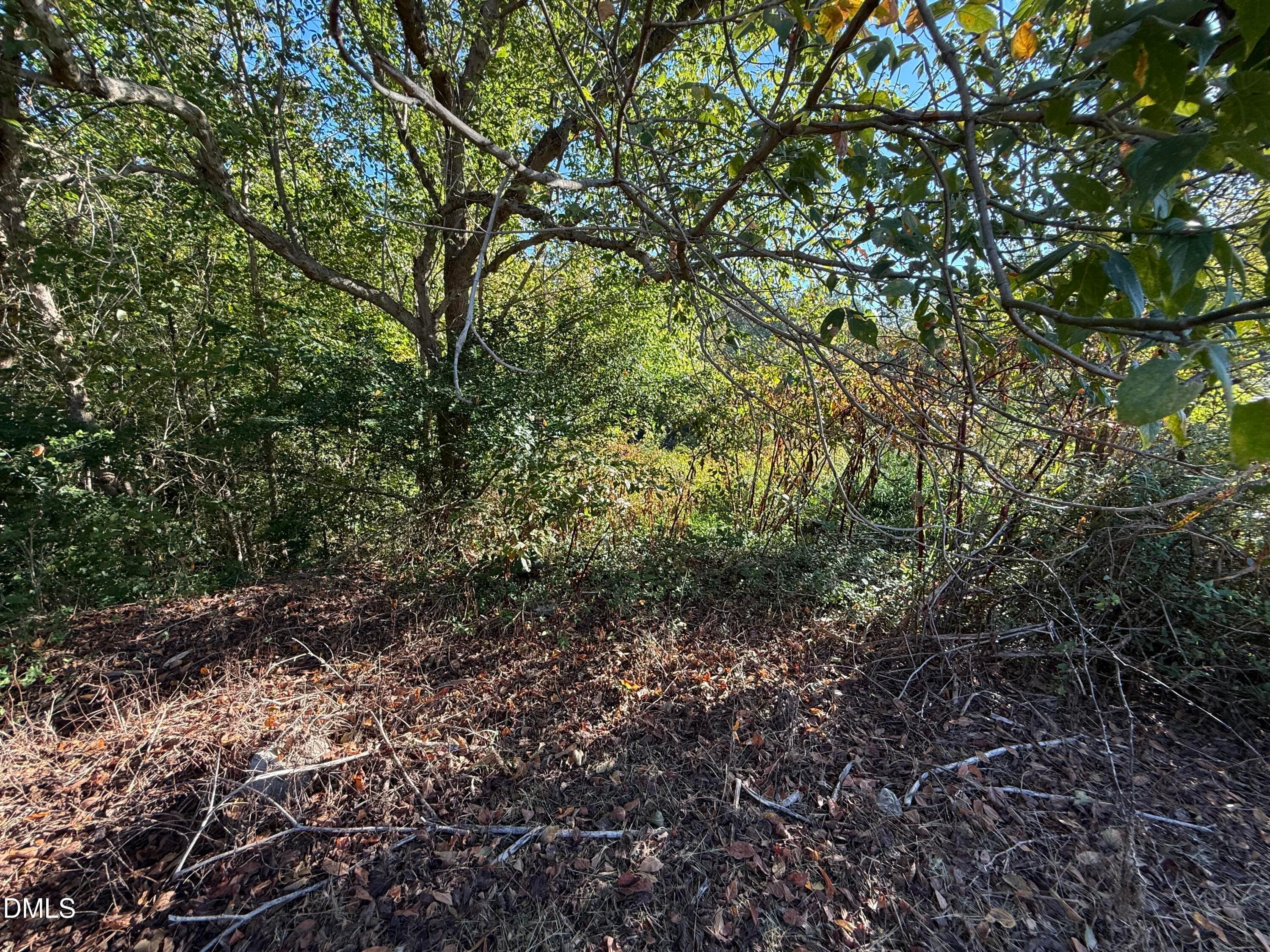 IMG_0246 - 606 Aspenwood Drive, Graham, NC 27253