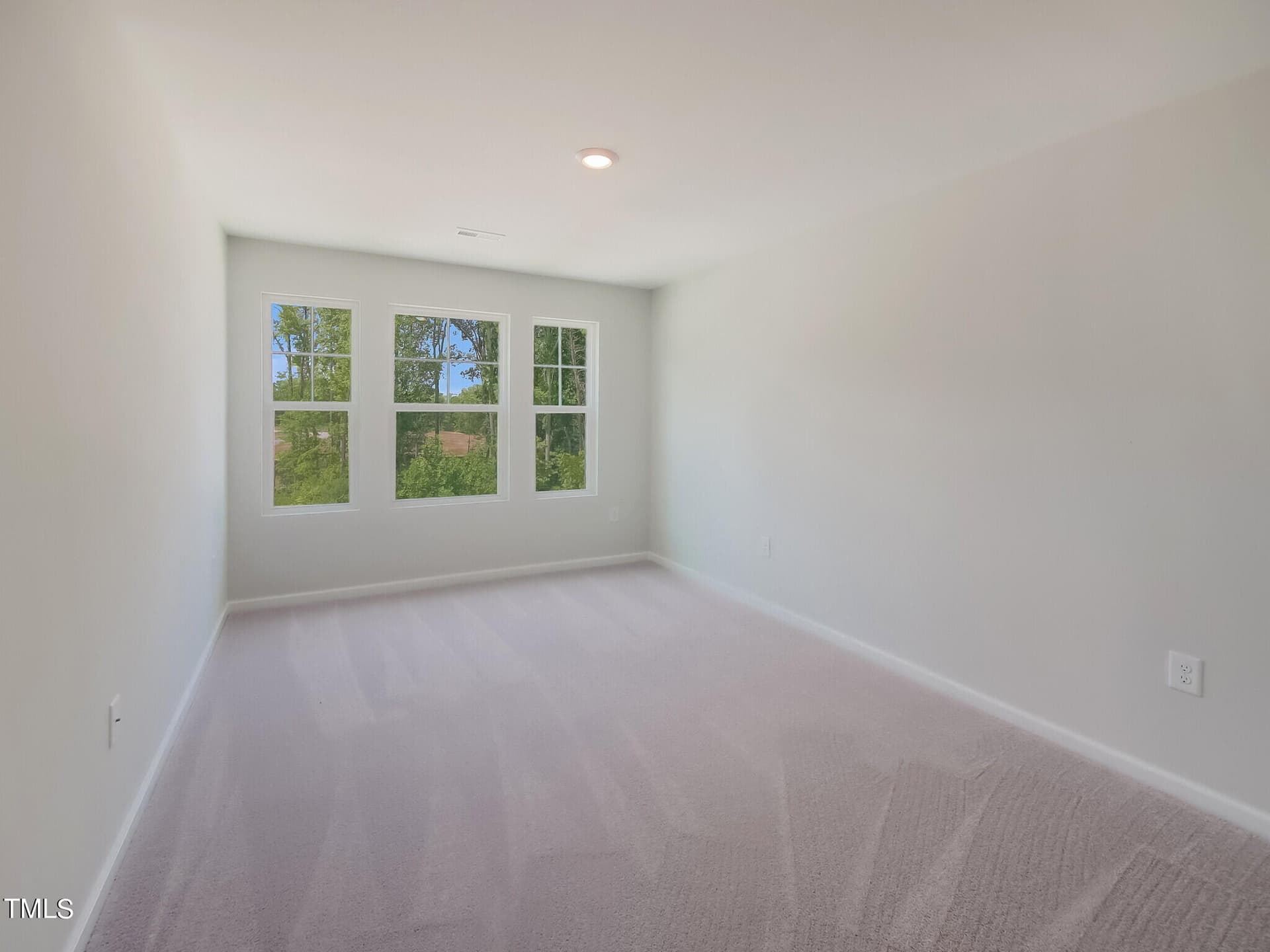 22_154VanillaOrchid_022_mls - 214 Carolina Springs Boulevard, Apex, NC 27539