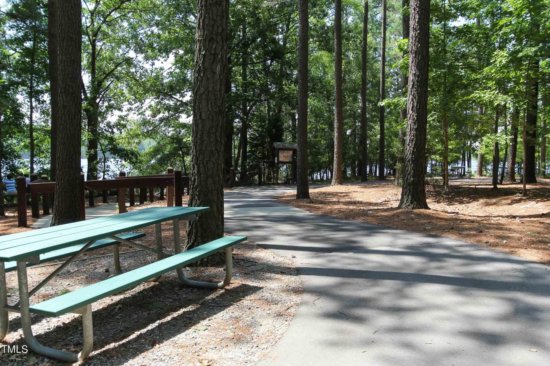 HollySprings_AreaPhotography-15 - 214 Carolina Springs Boulevard, Apex, NC 27539
