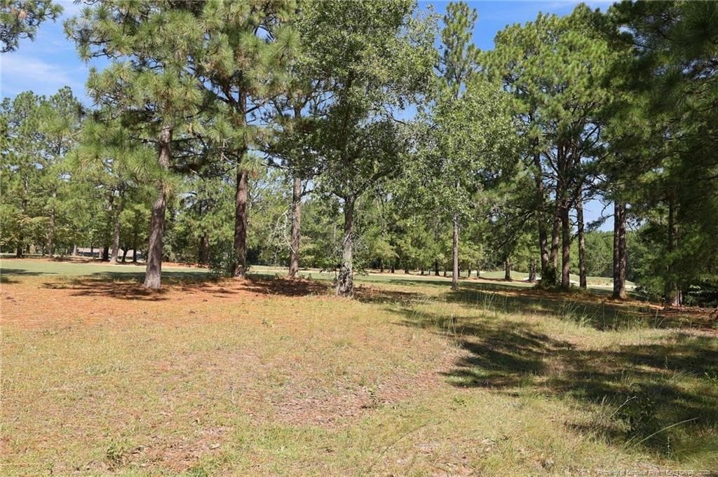 Photo 41 - 6 Wisteria Way, Carthage, NC 28327, Carthage