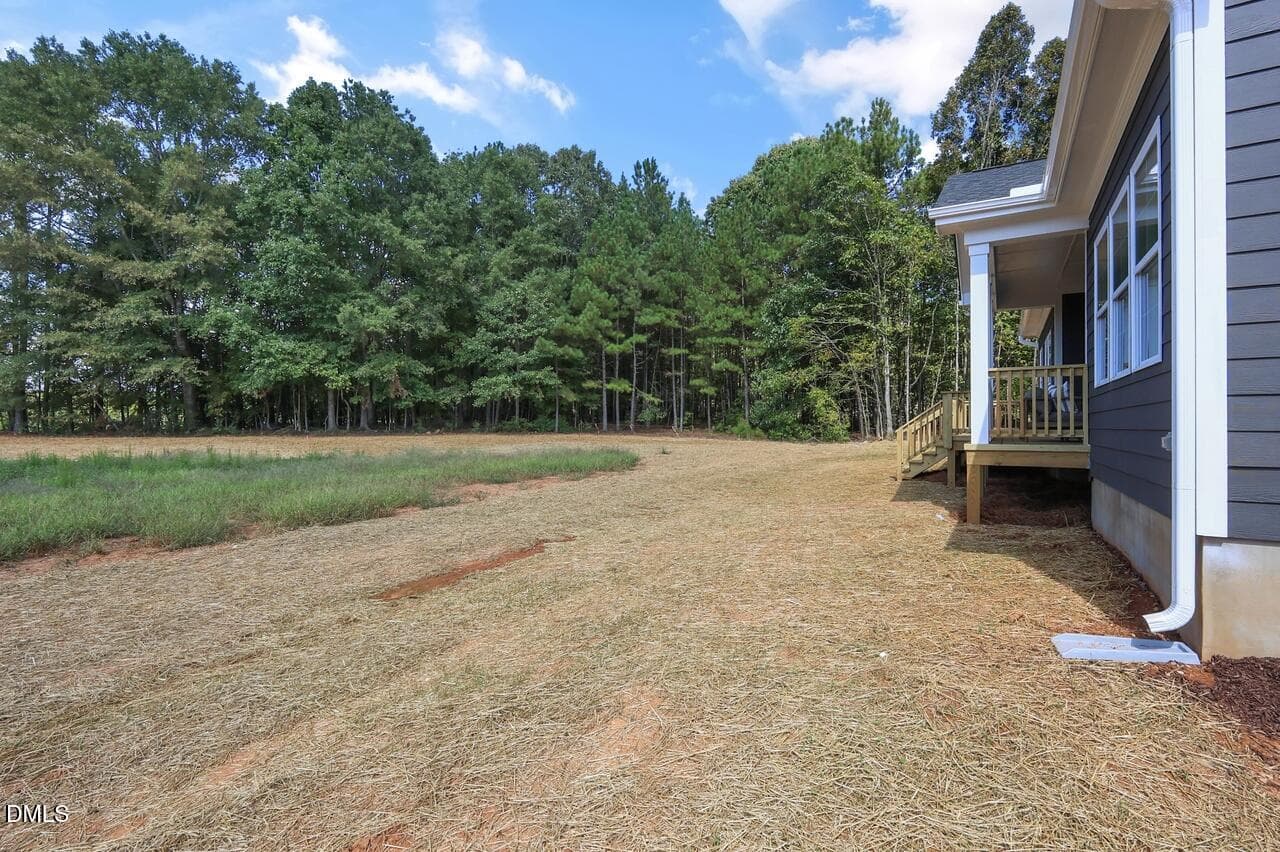 195-isabelle-valley-dr-new-homes-inc-005 - 239 Isabelle Valley Drive, Zebulon, NC 27597