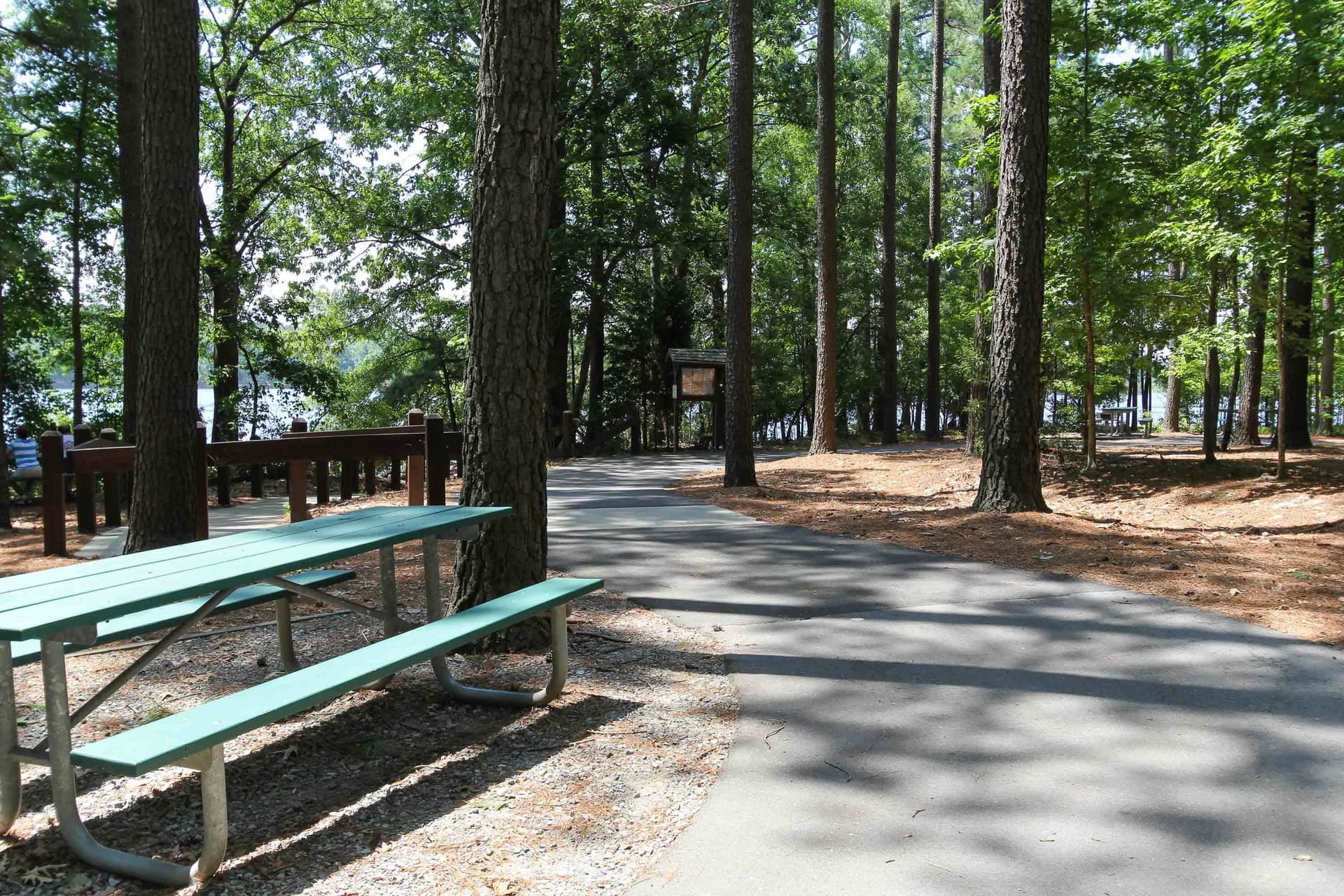 Photo 46 - 132 Mount Olive Trail, Apex, NC 27539