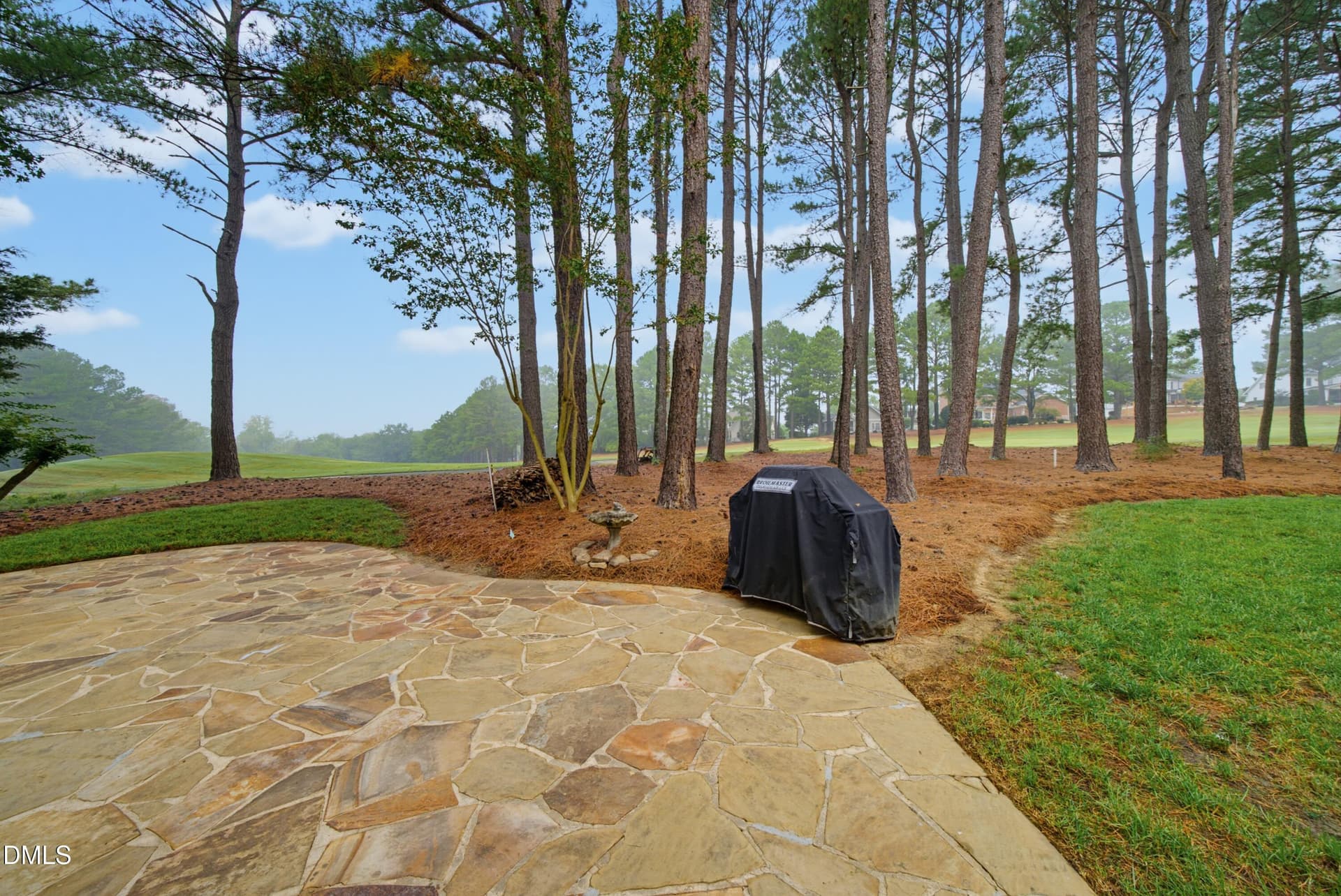 DSC05827 - 1205 Crozier Court, Wake Forest, NC 27587