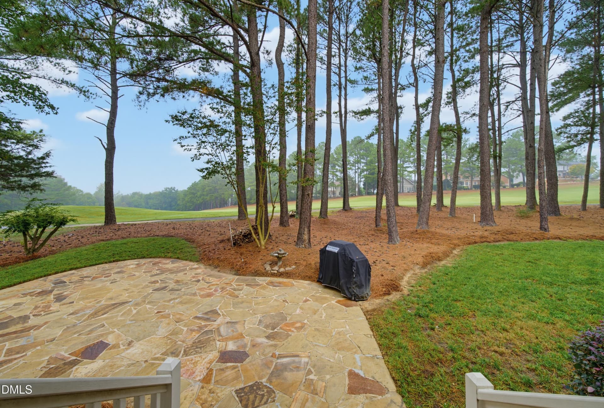 DSC05847 - 1205 Crozier Court, Wake Forest, NC 27587
