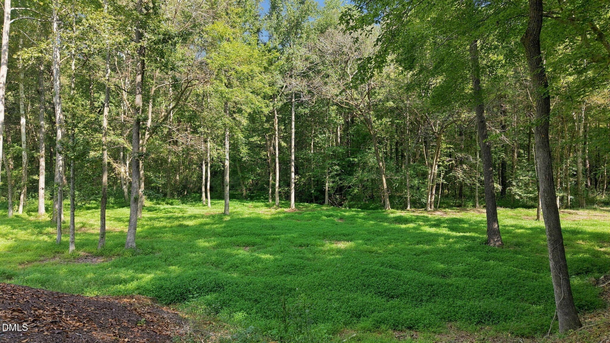 17-web-or-mls-DJI_20260915110327_0563_D - 4165 Indian Trail Road, Oxford, NC 27565