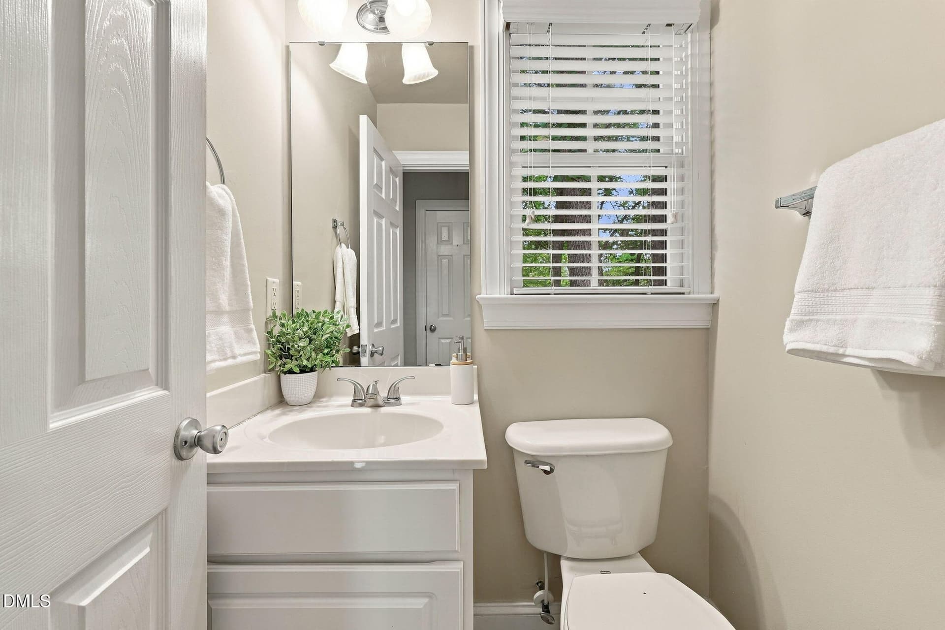 25-web-or-mls-IMG_6176_Edit - 308 Black Swan Way, Wake Forest, NC 27587