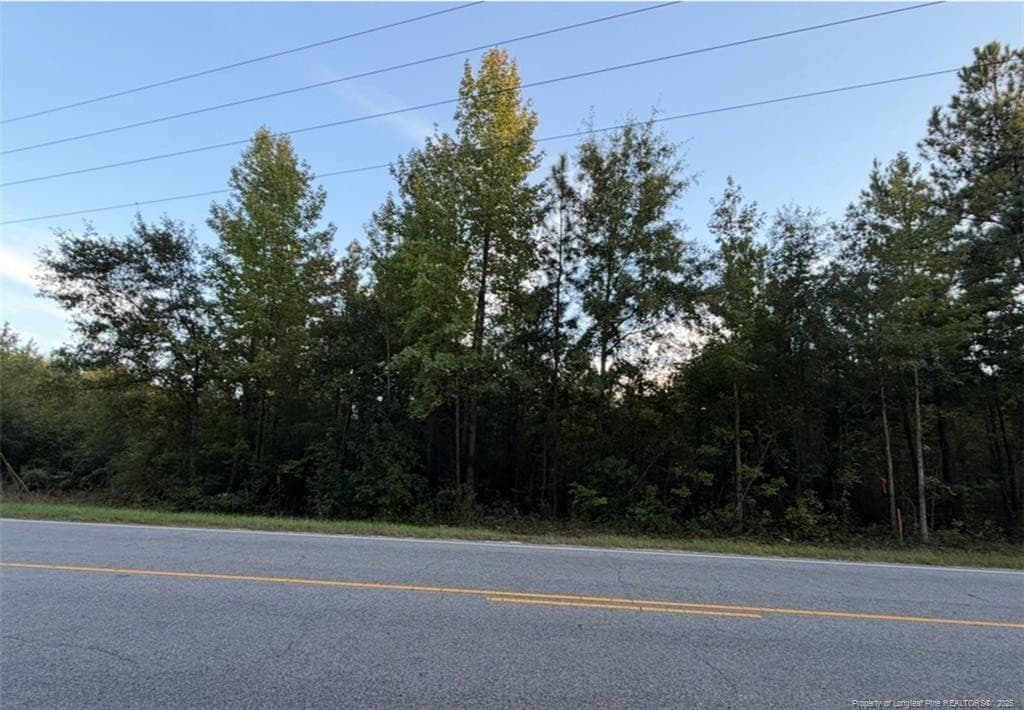 Photo 2 - Turnpike Road, Raeford, NC 28376