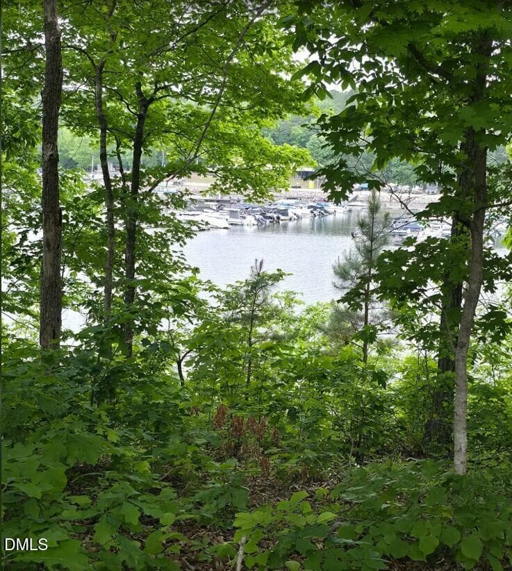 Falls Lake Hiking Trail - 14928 Creedmoor Road N, Wake Forest, NC 27587