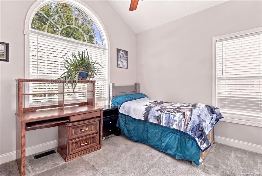 Photo 29 - 206 Timberline Drive, Sanford, NC 27332