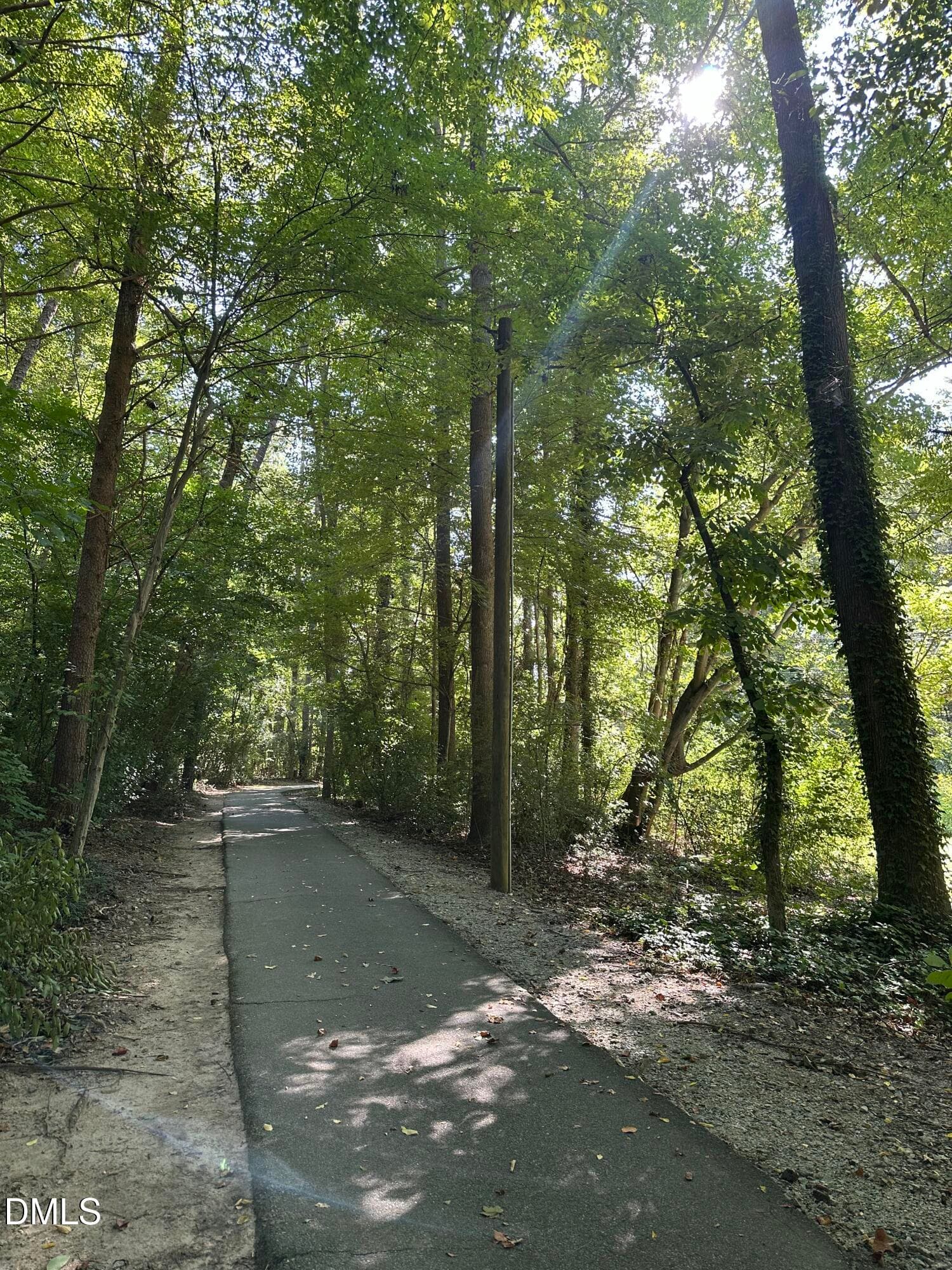 IMG_6052 - 5804 Manor Ridge Trail, Greensboro, NC 27407