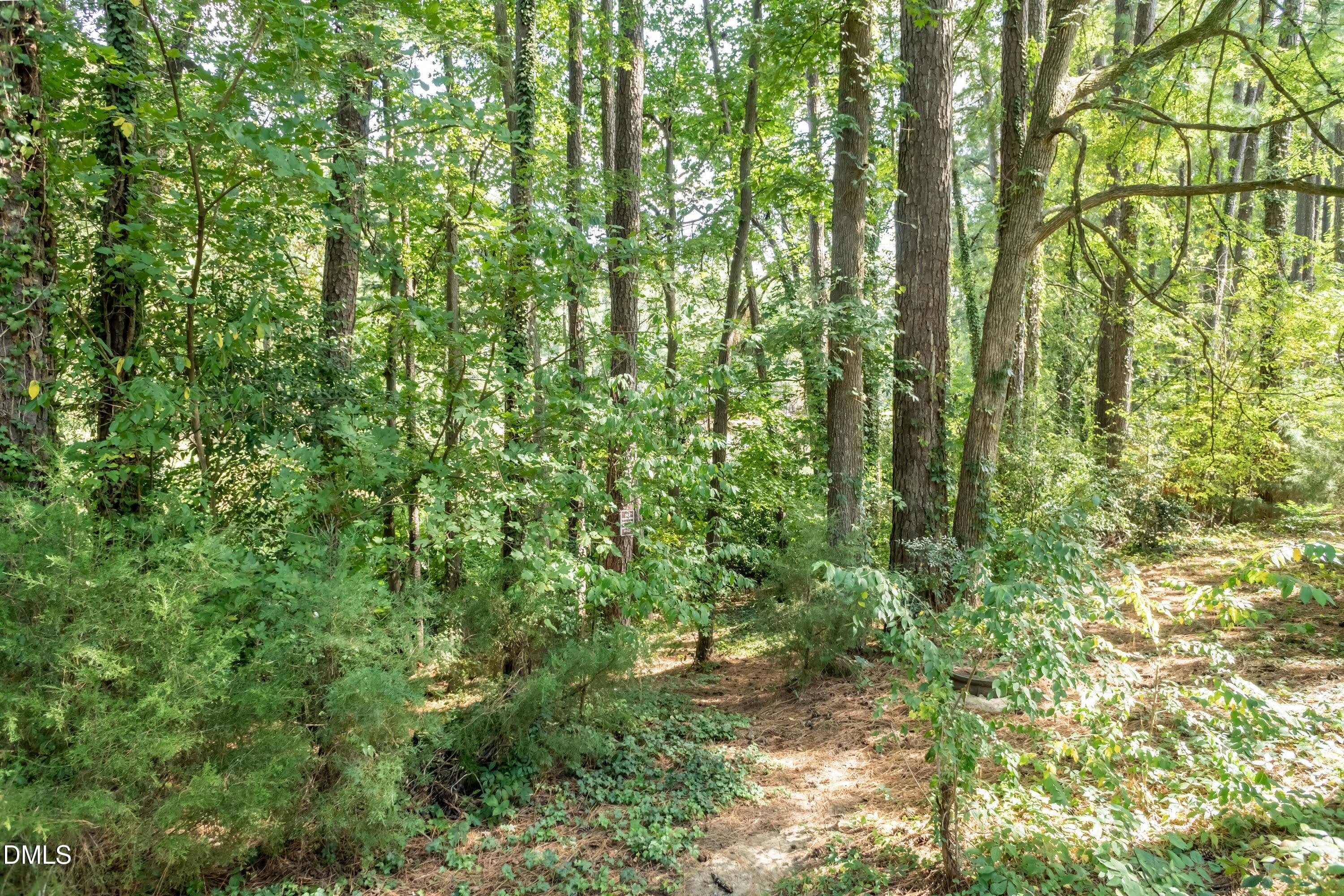 Trail 02 - 647 Pine Ridge Place, Raleigh, NC 27609, Raleigh
