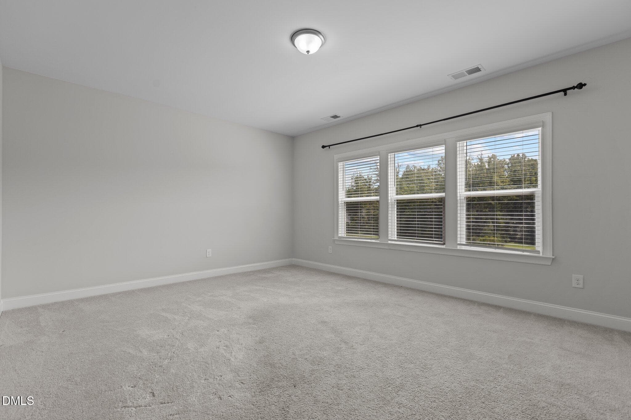 53-web-or-mls-IMGL5456 - 3602 Longleaf Estates Drive, Raleigh, NC 27616