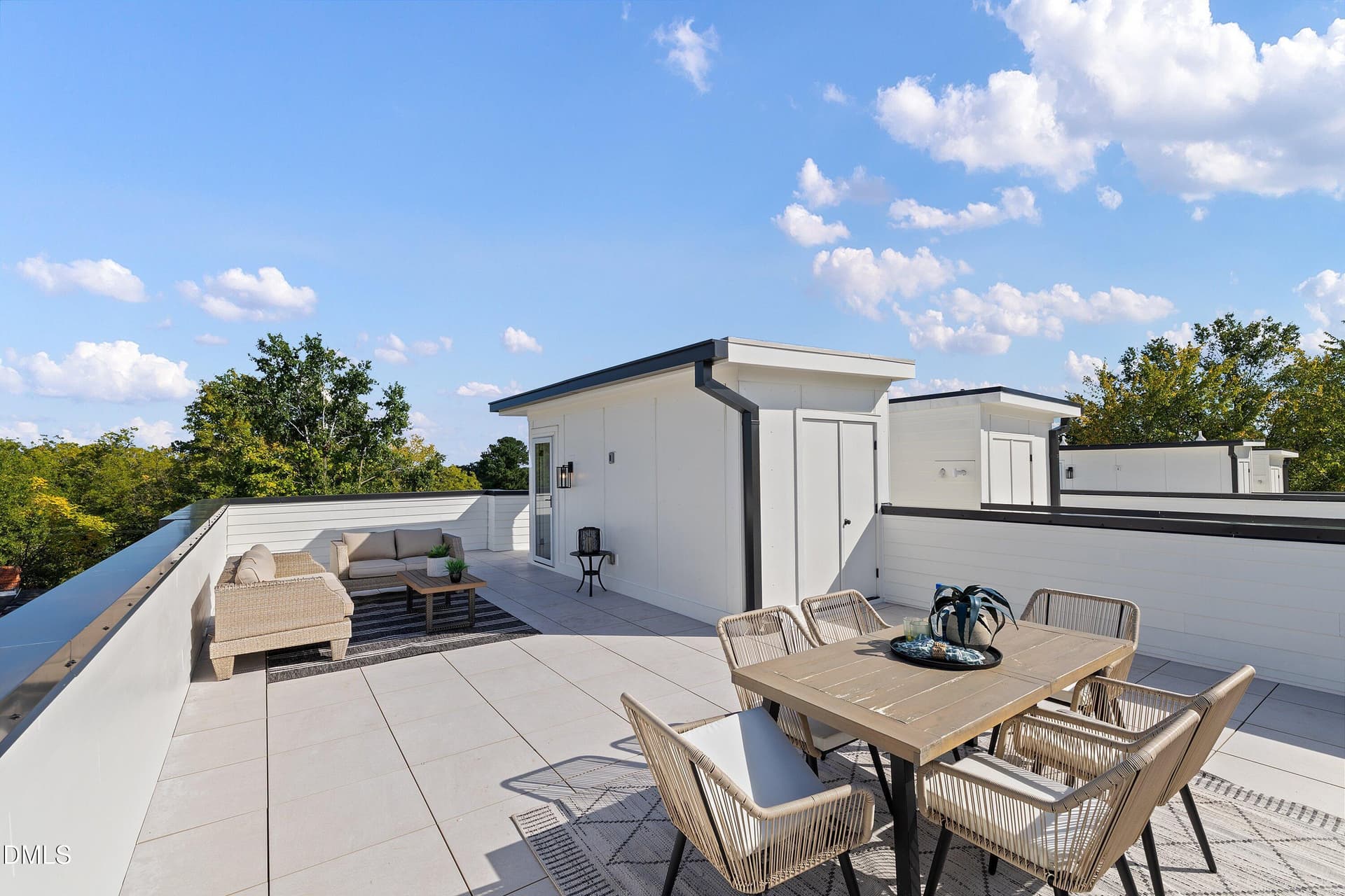 ROOFTOP DECK - 813 N Roxboro Street, Durham, NC 27701