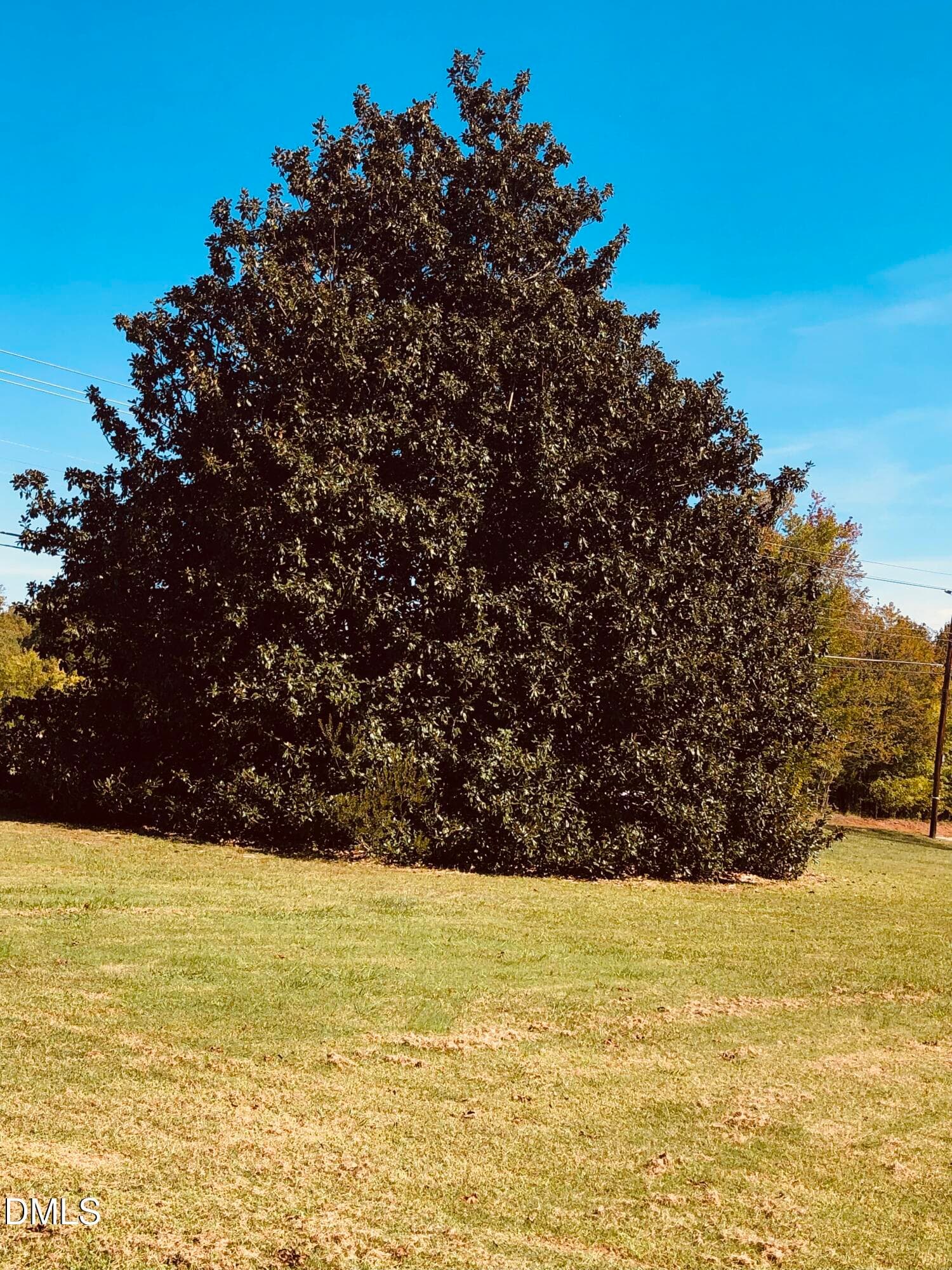 IMG_7624 - 12609 N Roxboro Road, Rougemont, NC 27572