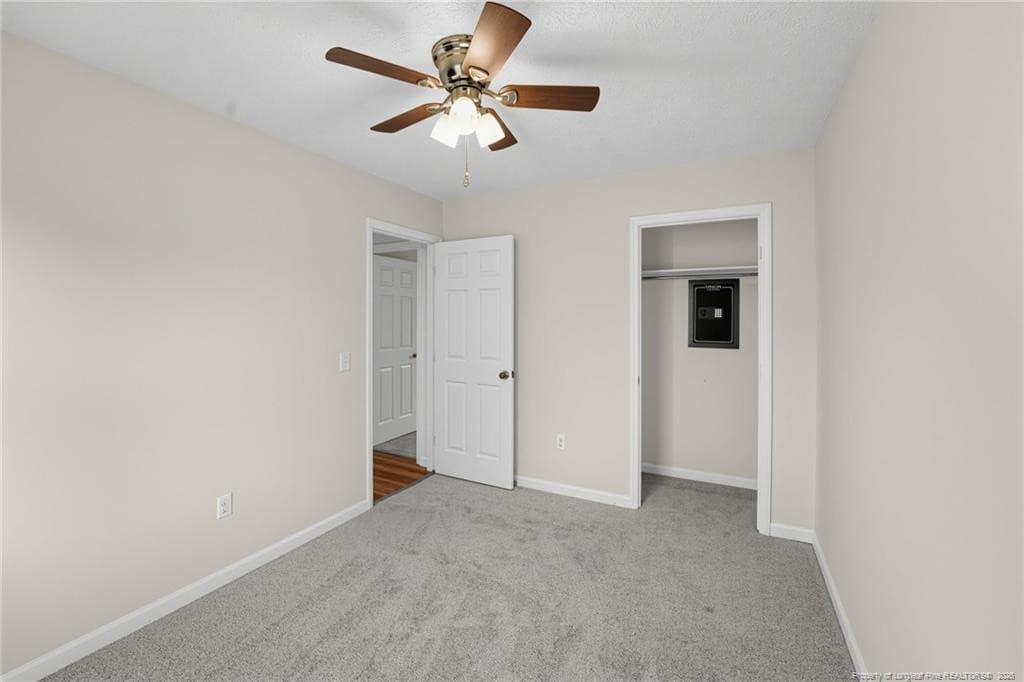 Photo 19 - 229 Montpelier Avenue, Roxboro, NC 27573