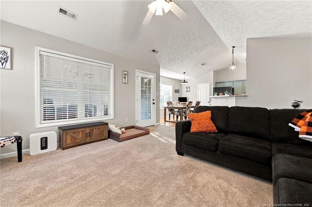 Photo 13 - 48 Boulder Drive, Sanford, NC 27332
