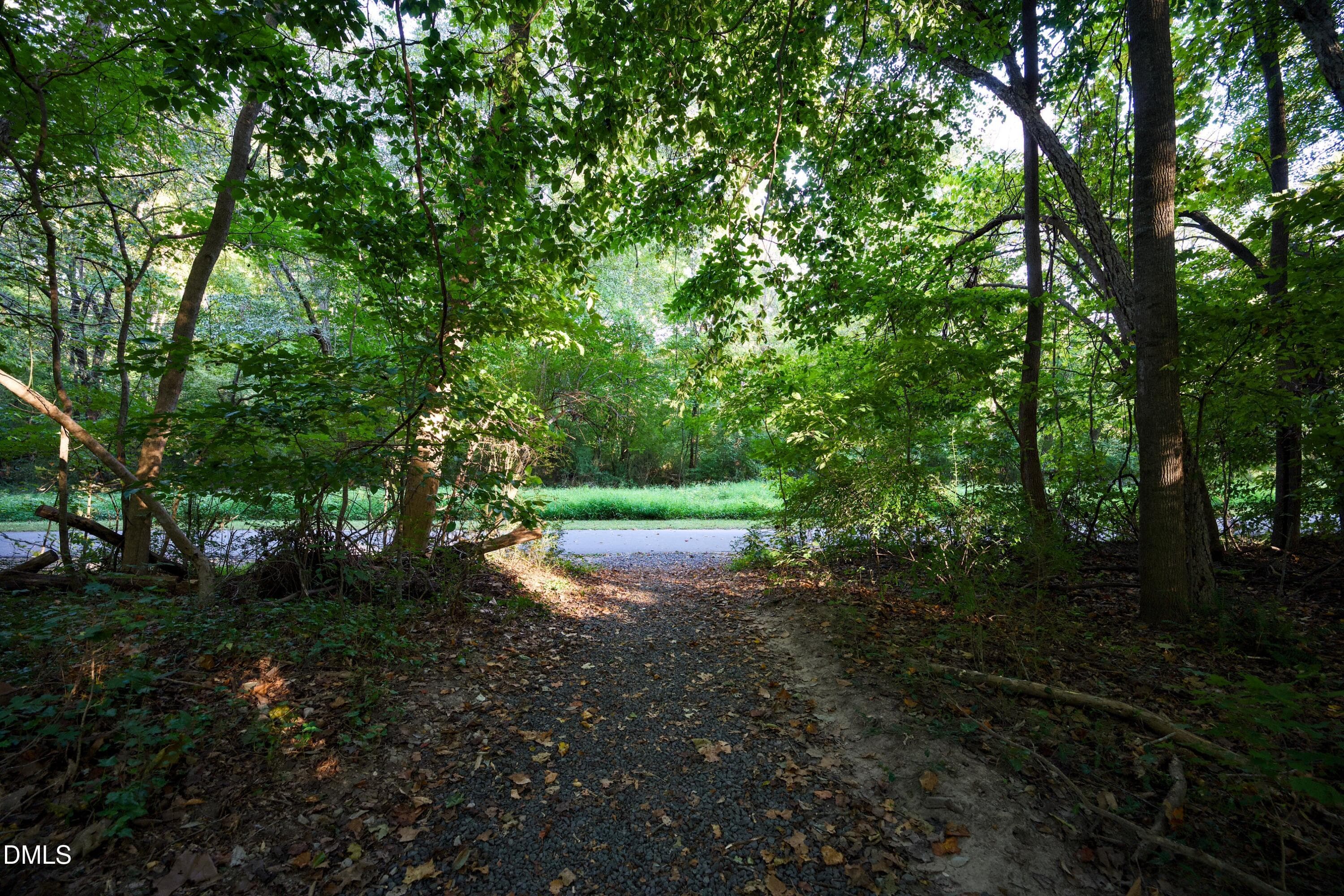 DSC_1171 - 35 Willow Bridge Drive, Durham, NC 27707