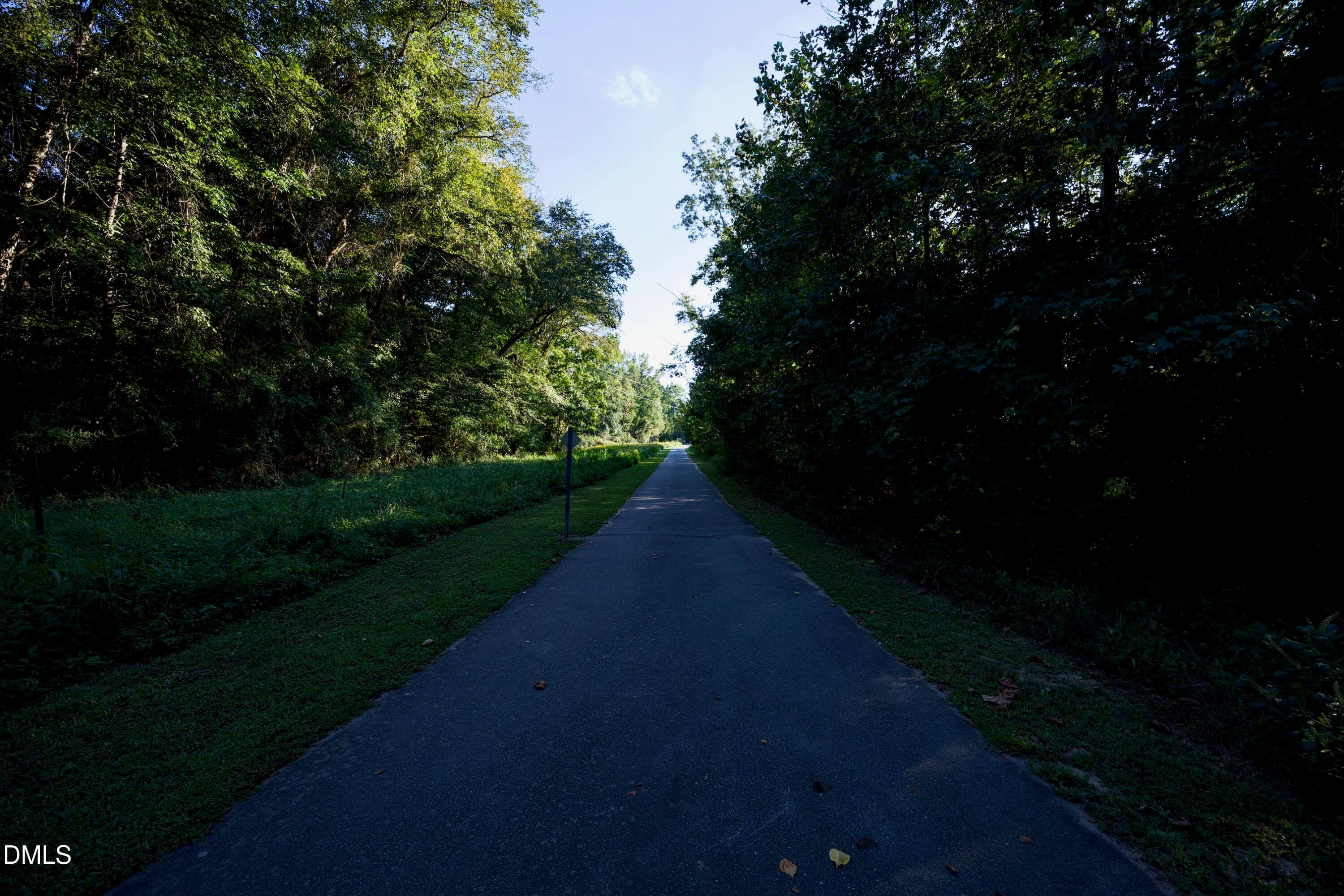 DSC_1223 - 35 Willow Bridge Drive, Durham, NC 27707