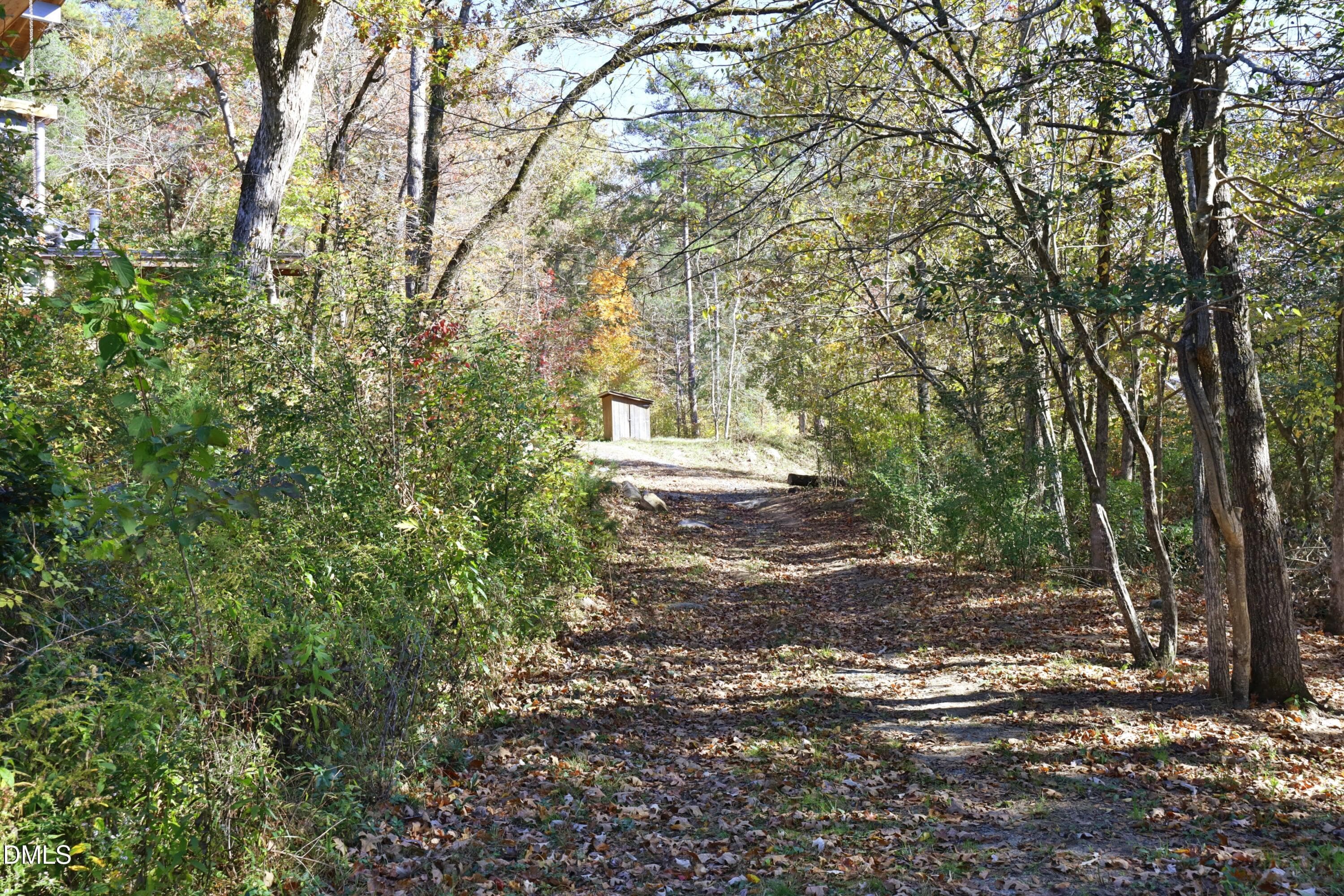 Driveway - 196 Paces Mill Trail, Pittsboro, NC 27312