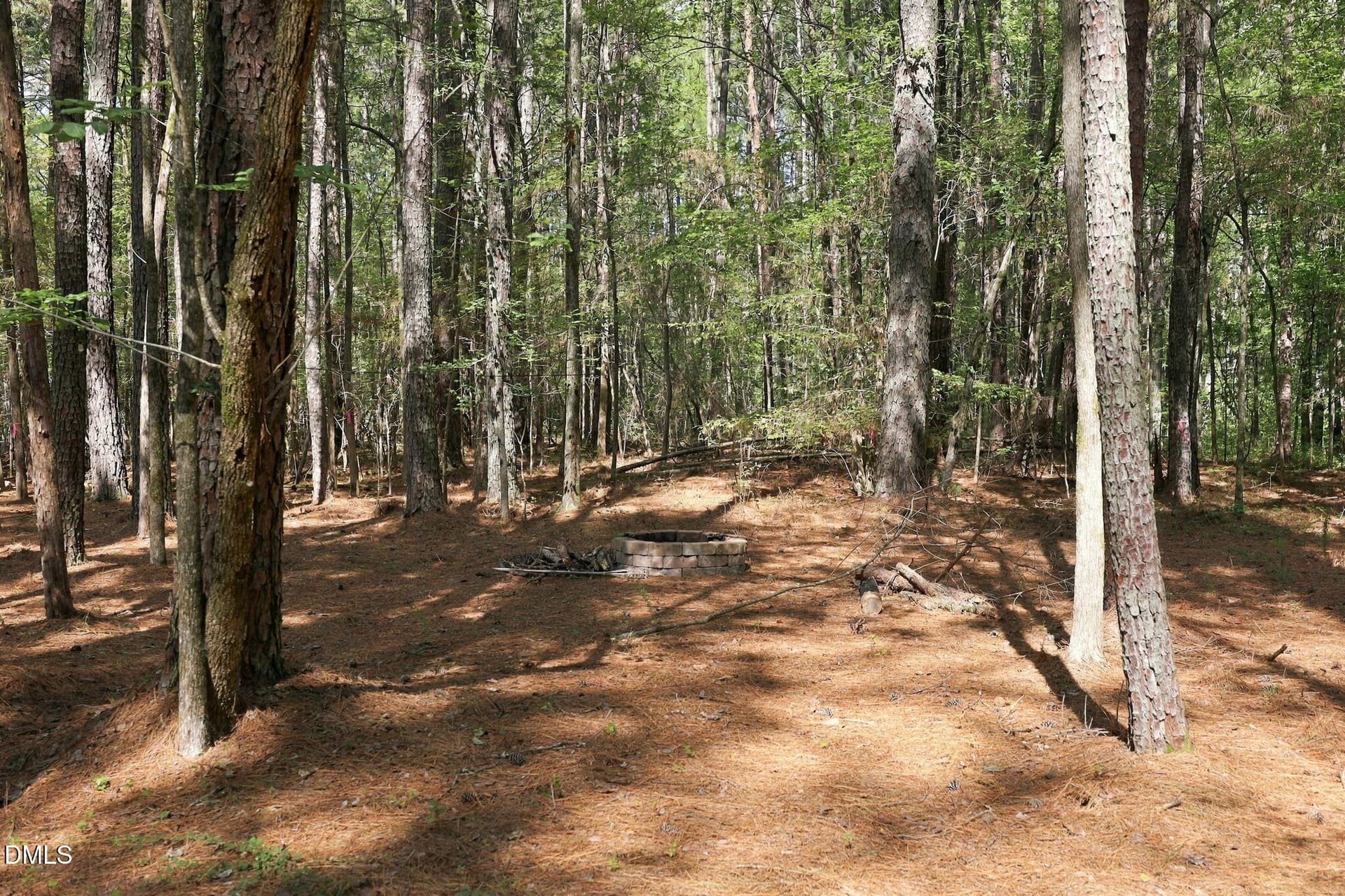 18-web-or-mls-IMG_6500 - Lot 46 Pool Rock Plantation Lane, Henderson, NC 27537