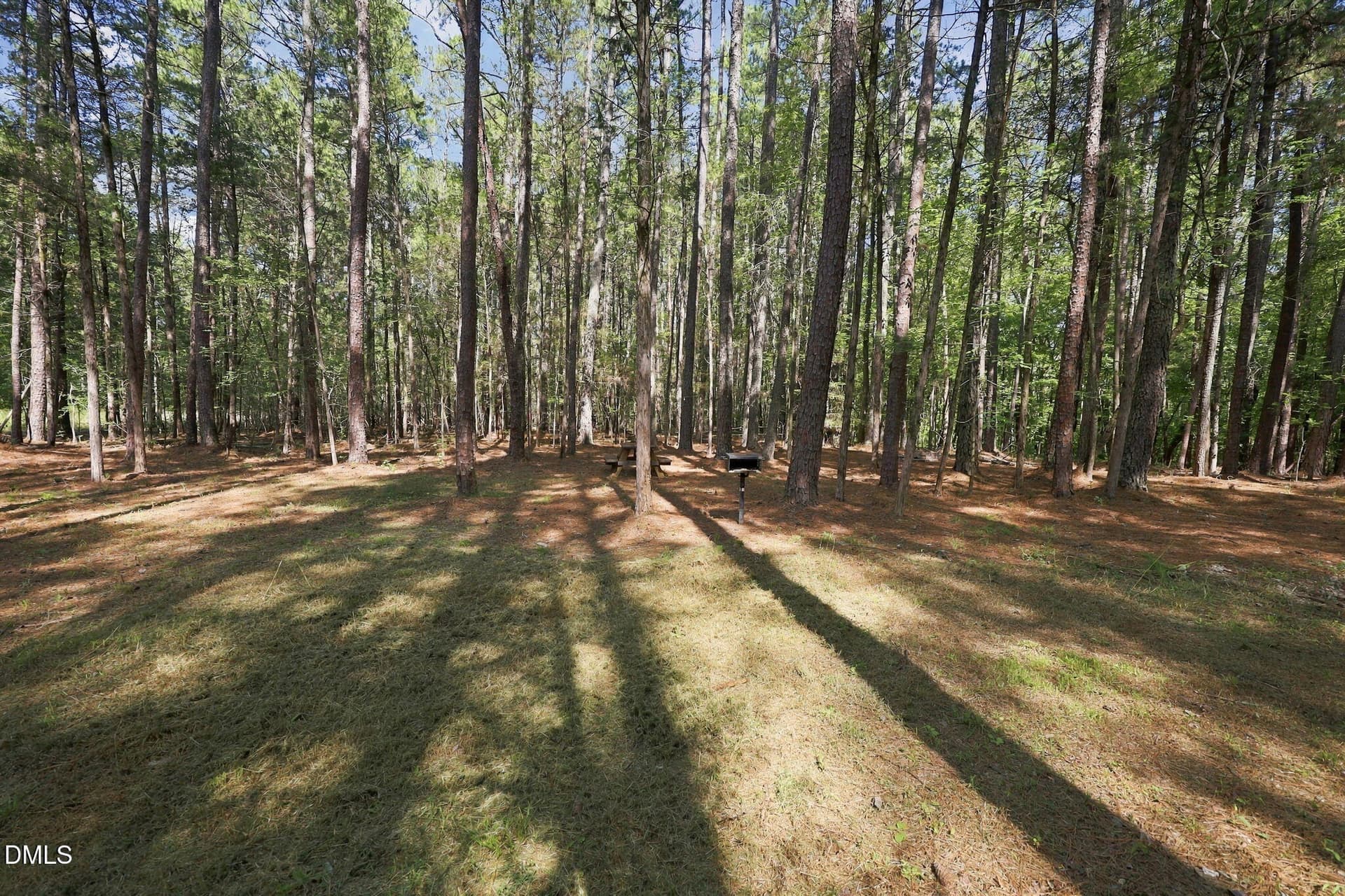 17-web-or-mls-IMG_6495 - Lot 46 Pool Rock Plantation Lane, Henderson, NC 27537