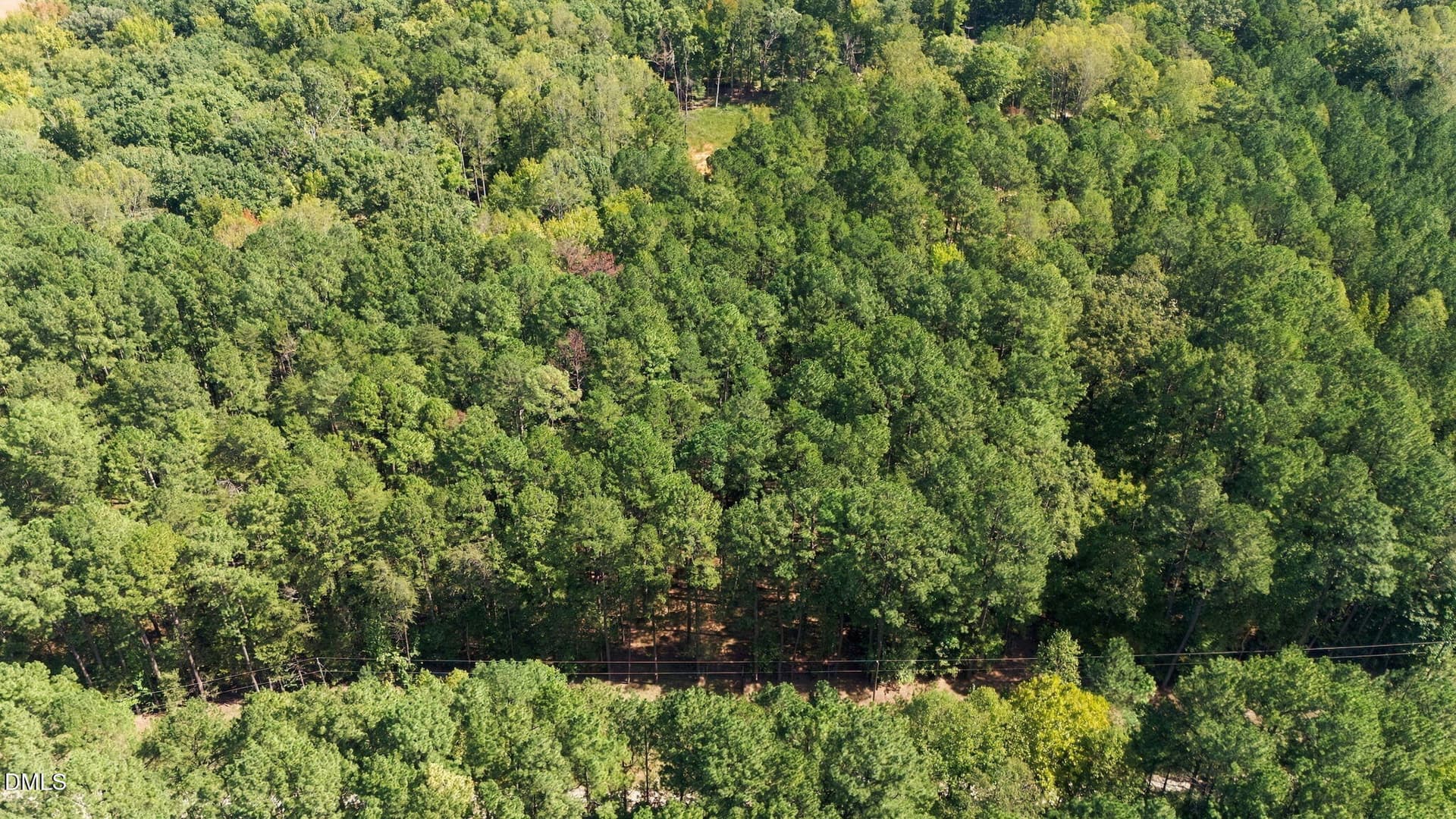 2-web-or-mls-DJI_20260930123319_0415_D_8 - Lot 46 Pool Rock Plantation Lane, Henderson, NC 27537