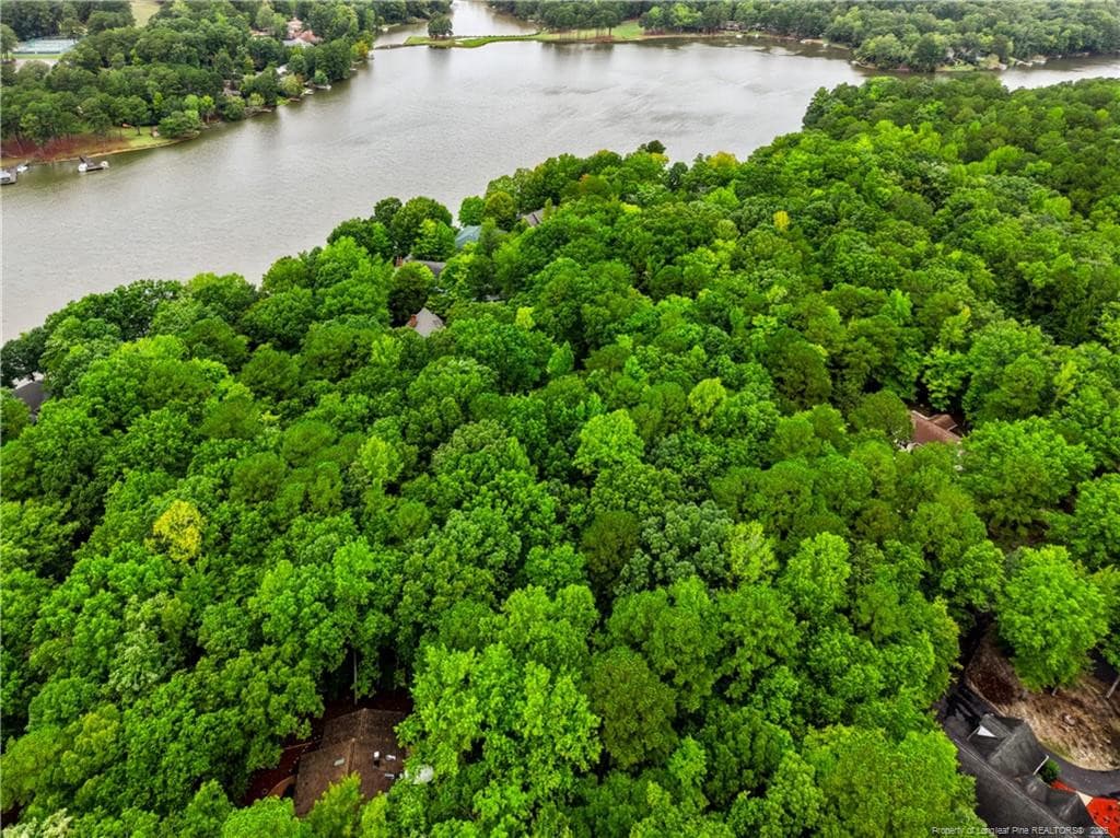 Aerial View toward Lake - 2028 Long Point Trail, Sanford, NC 27332