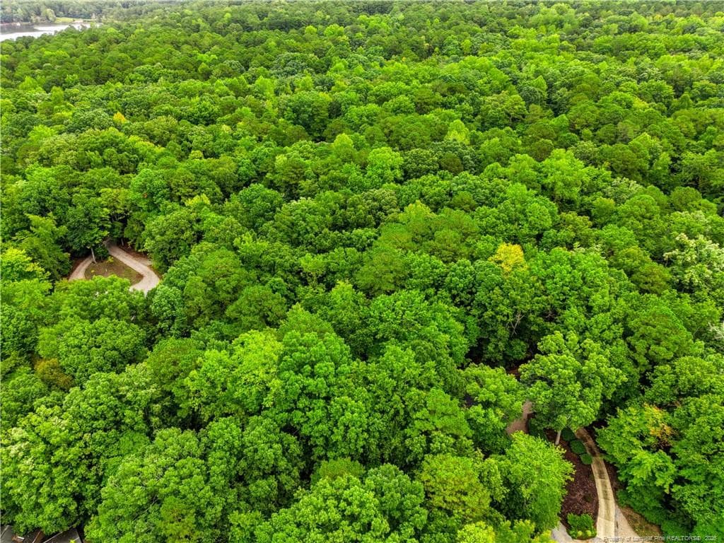 Comm View - 2028 Long Point Trail, Sanford, NC 27332