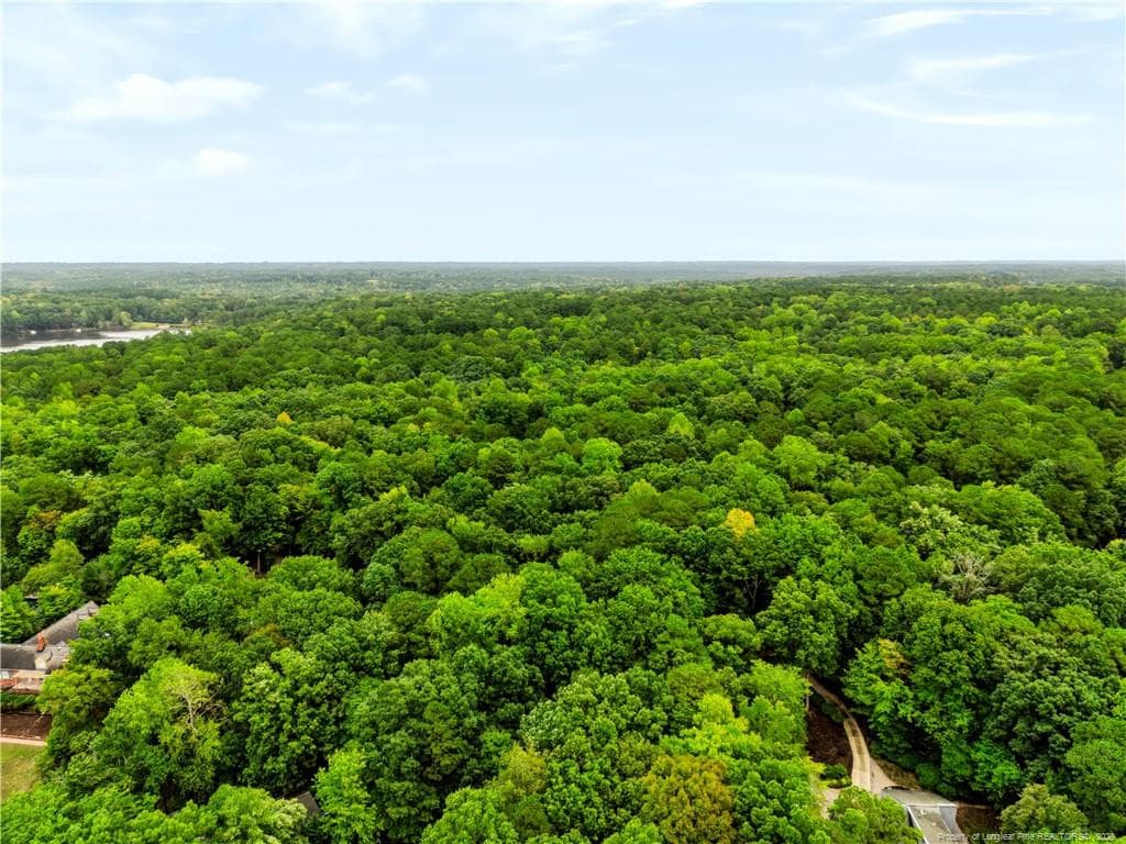 Add'l View - 2028 Long Point Trail, Sanford, NC 27332