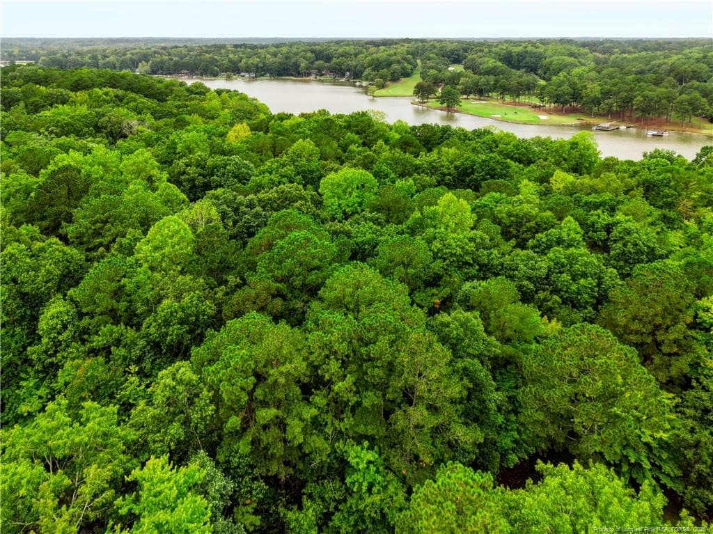 Canopy View - 2028 Long Point Trail, Sanford, NC 27332