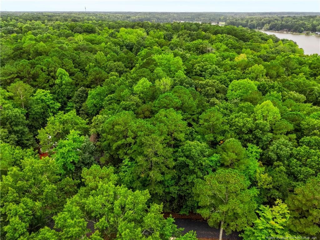 Ready to Build? - 2028 Long Point Trail, Sanford, NC 27332