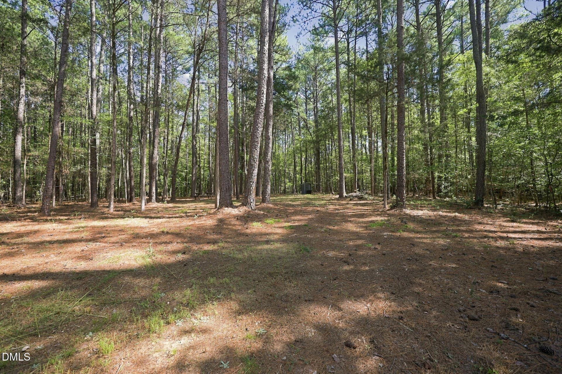 11-web-or-mls-IMG_6481 - Lot 46 Pool Rock Plantation Lane, Henderson, NC 27537