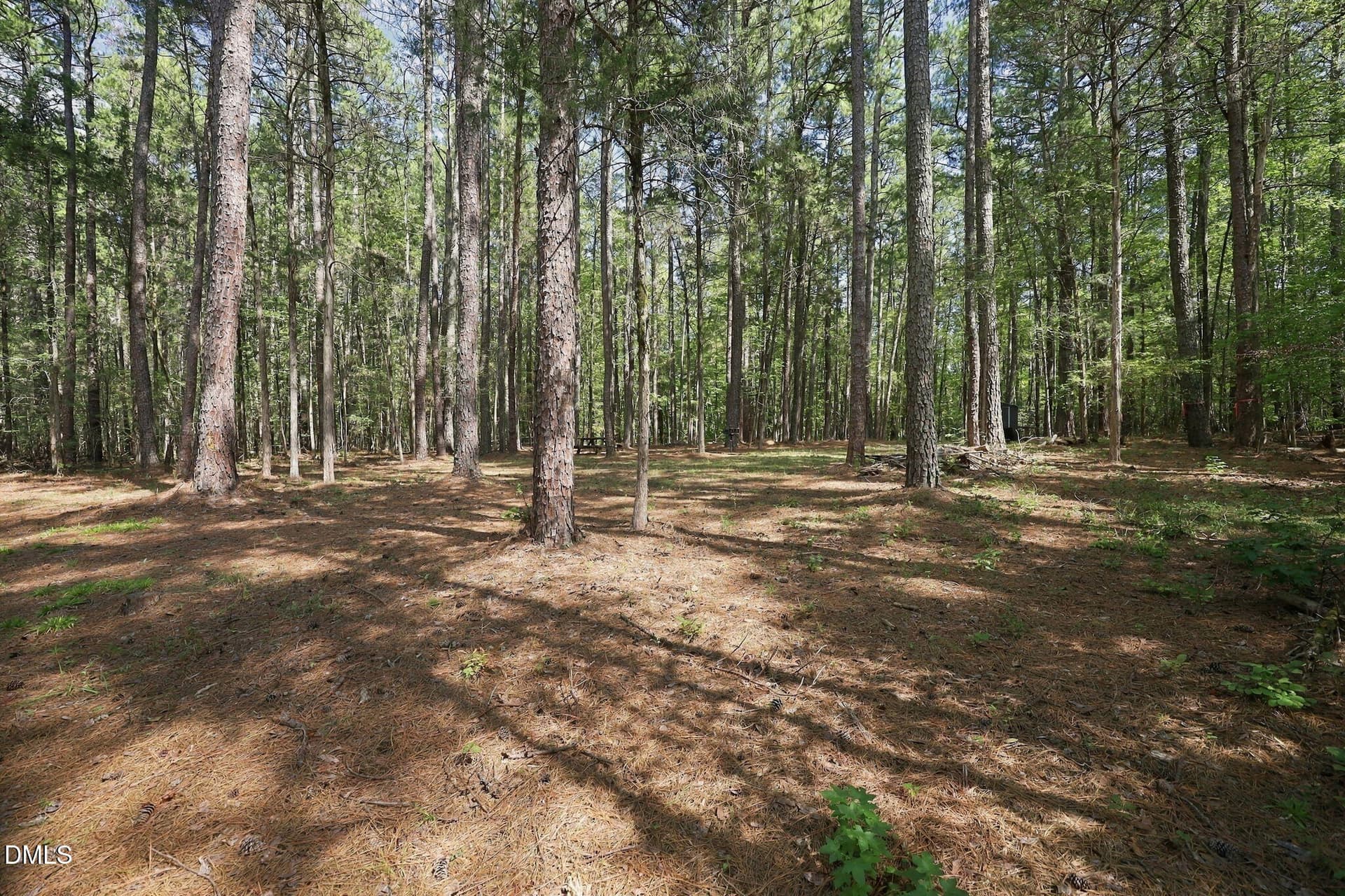 13-web-or-mls-IMG_6485 - Lot 46 Pool Rock Plantation Lane, Henderson, NC 27537