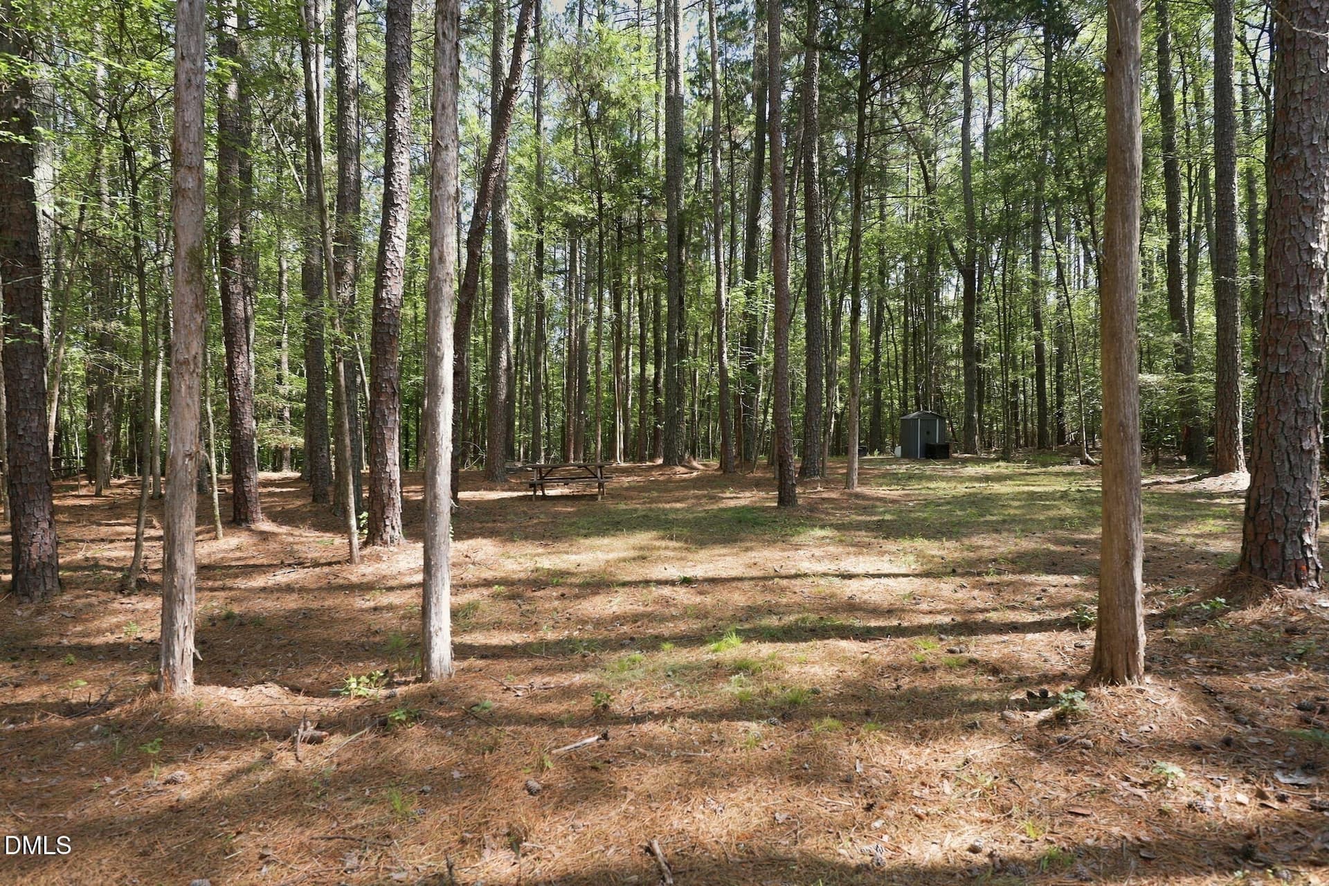 14-web-or-mls-IMG_6487 - Lot 46 Pool Rock Plantation Lane, Henderson, NC 27537