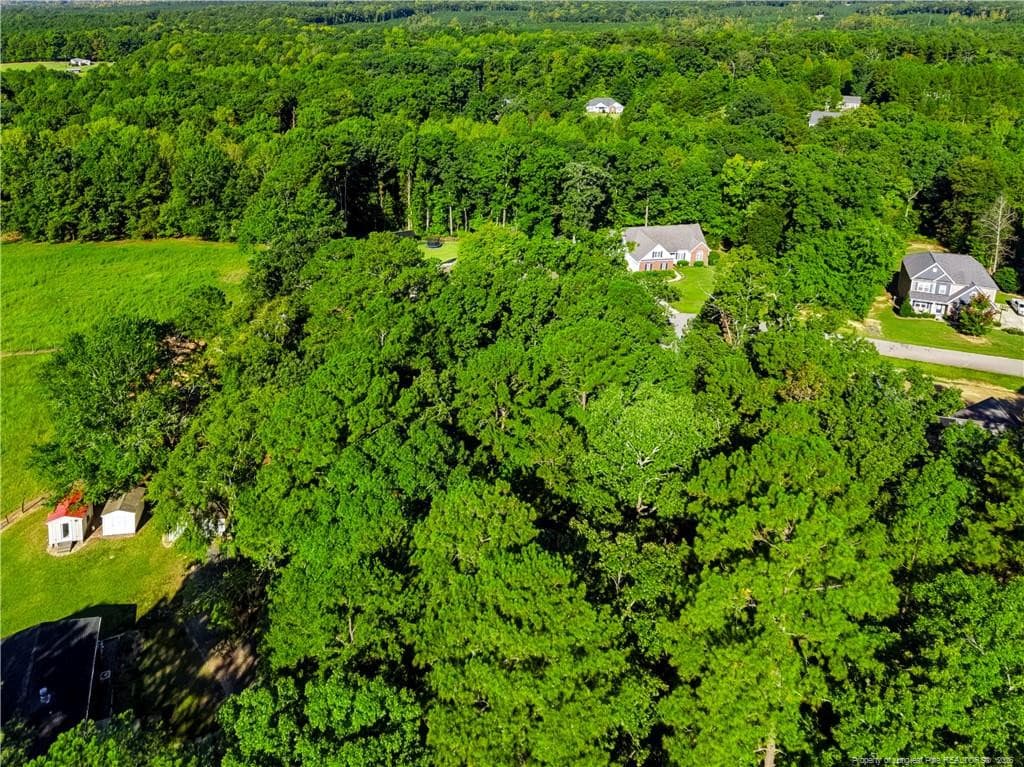 Aerial Rear View toward culdesac - tbd Panners Place, Sanford, NC 27330, Sanford