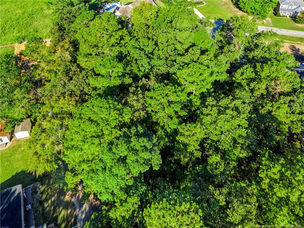 Canopy View. - tbd Panners Place, Sanford, NC 27330, Sanford