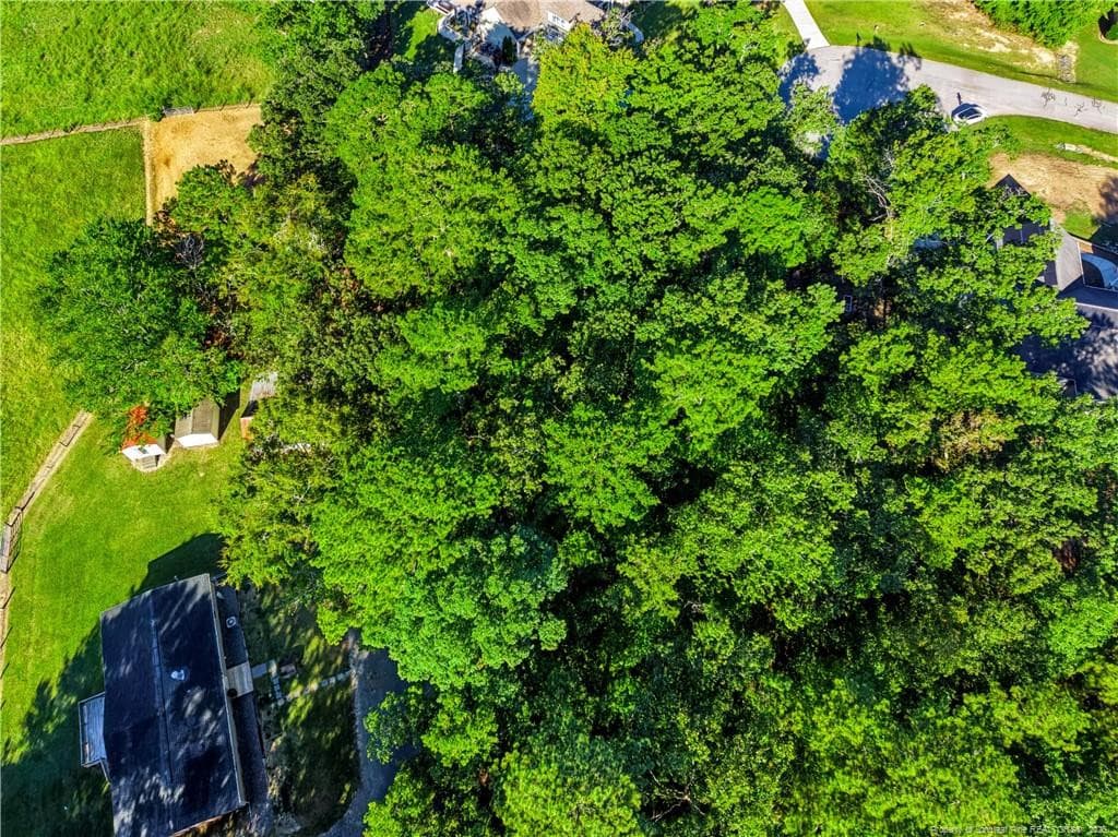 Canopy View 2 - tbd Panners Place, Sanford, NC 27330, Sanford