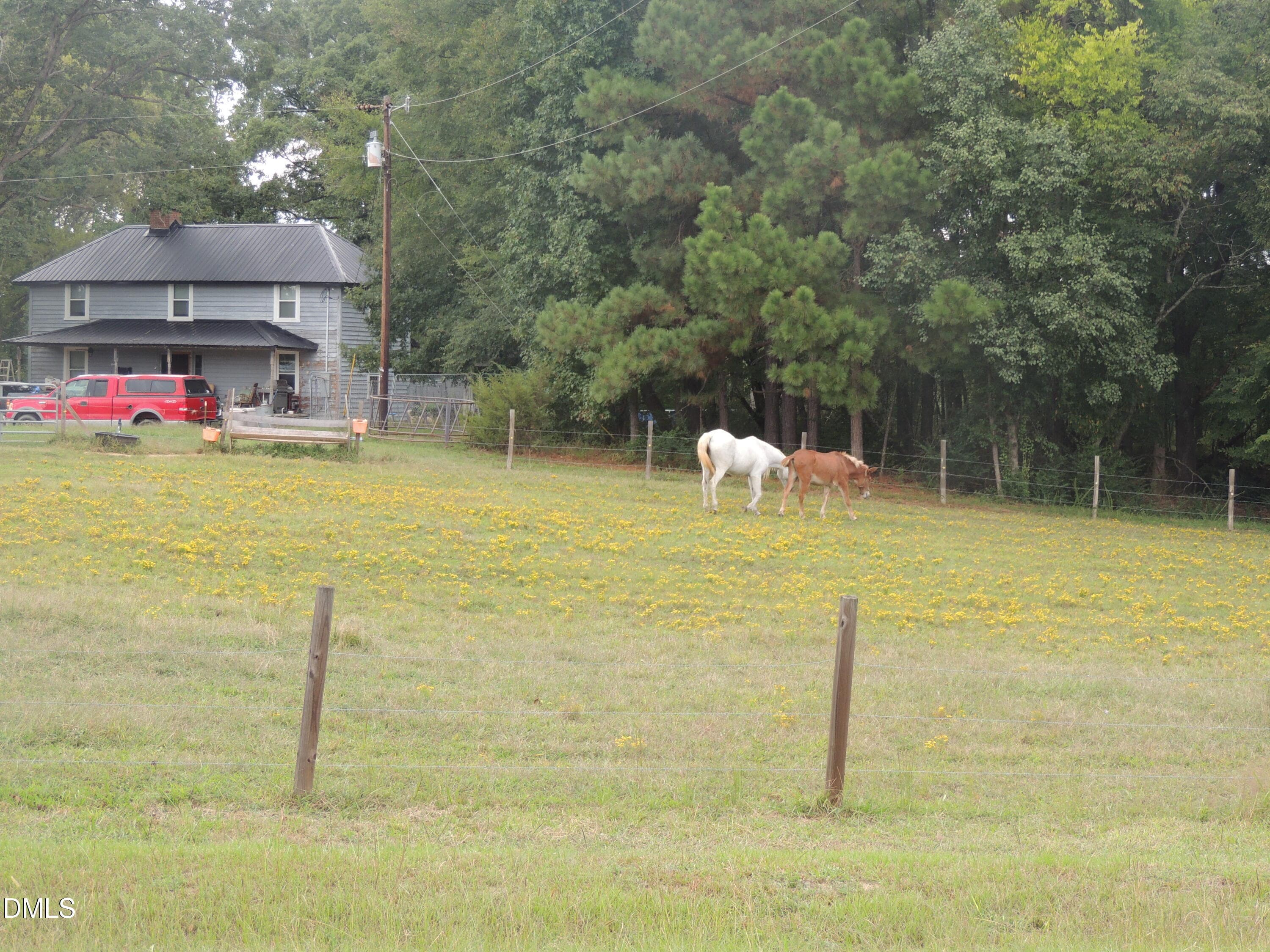 24ADF1FF-318B-4CE4-8E15-608EBDDD582A - 1353 Beasley Road, Louisburg, NC 27549