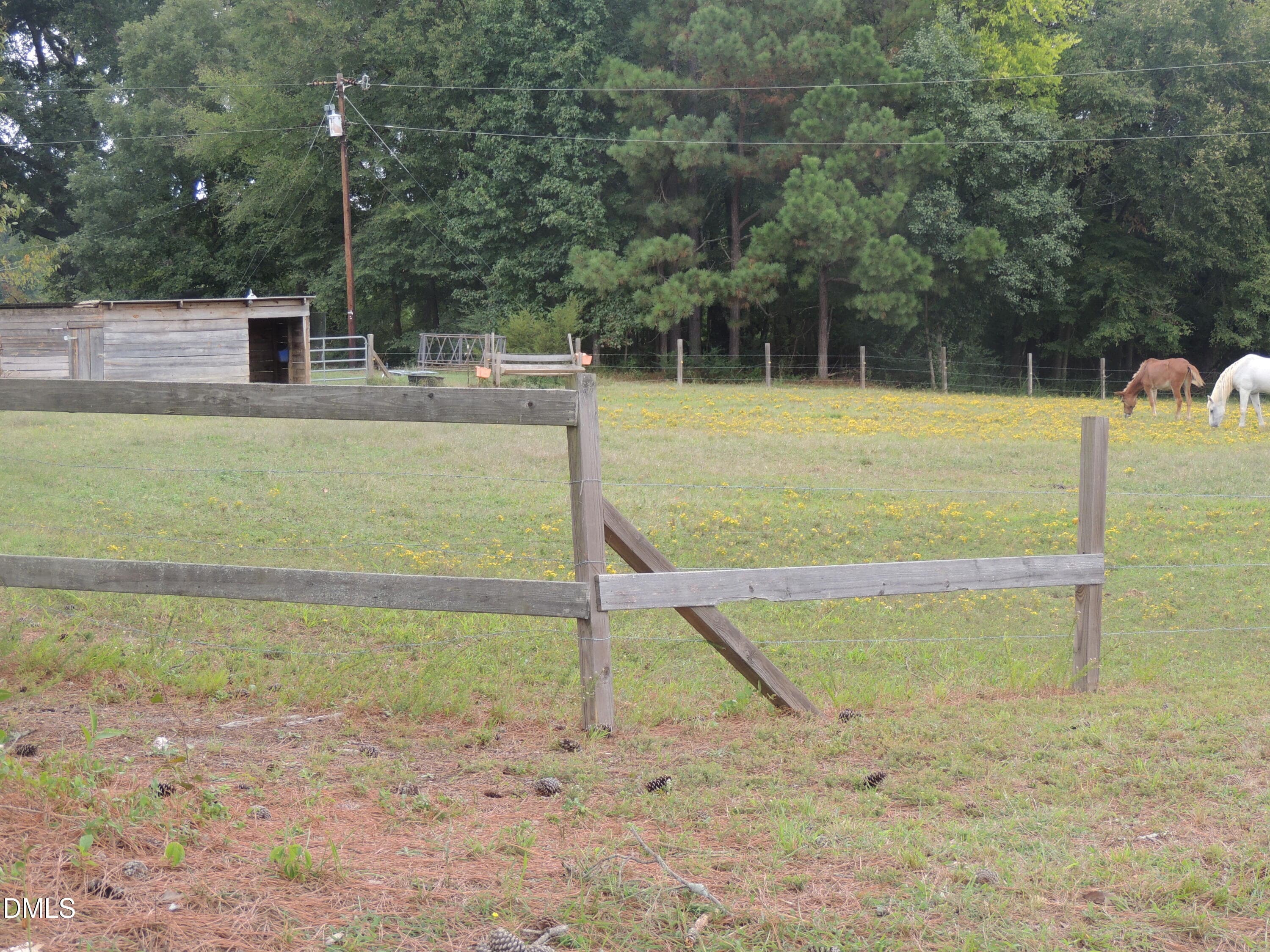 E167AA95-6354-4940-9929-0570416418AD - 1353 Beasley Road, Louisburg, NC 27549