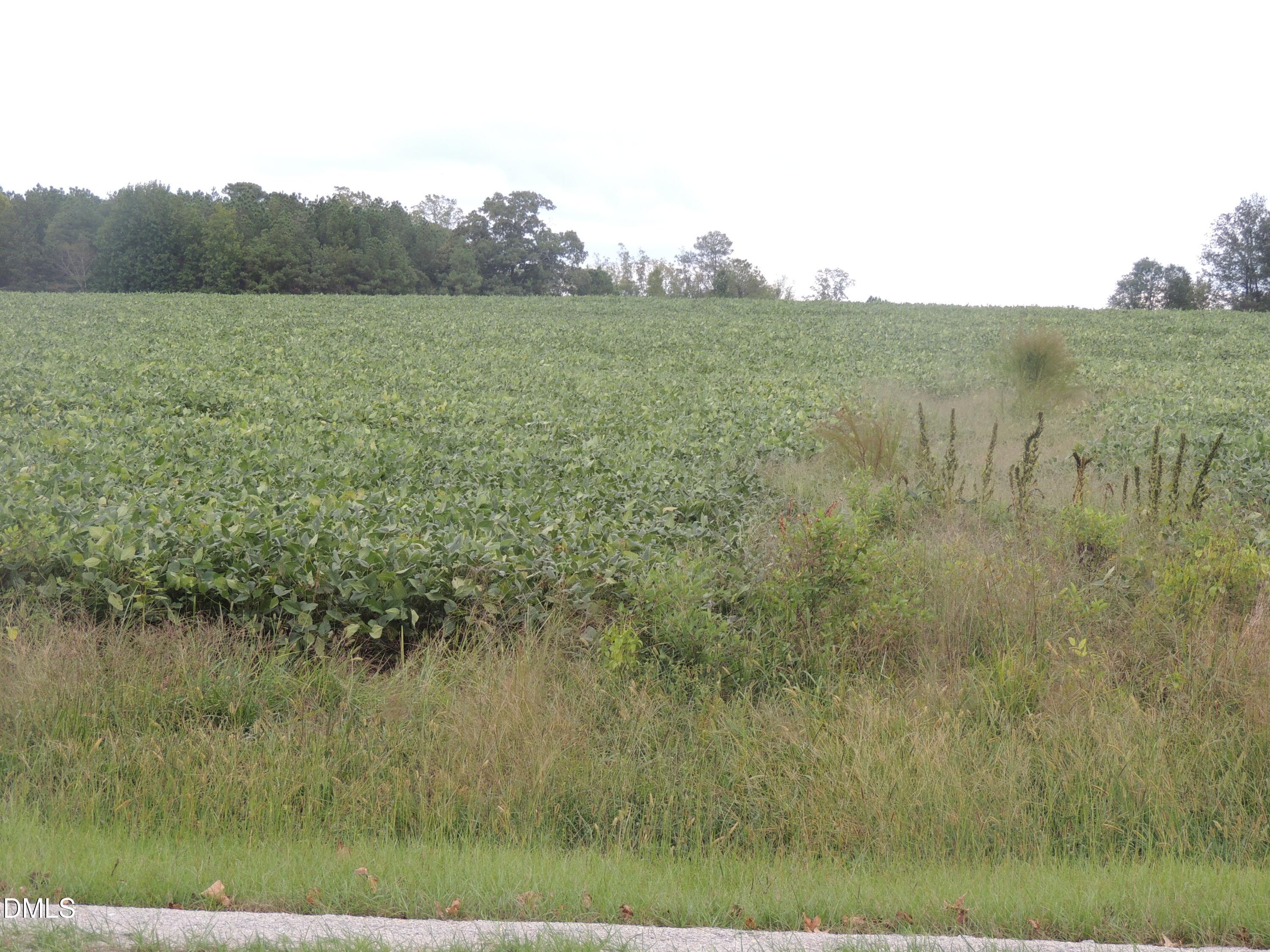 F518F809-20D0-4262-AC27-D5CCEAB7EFCC - 1353 Beasley Road, Louisburg, NC 27549