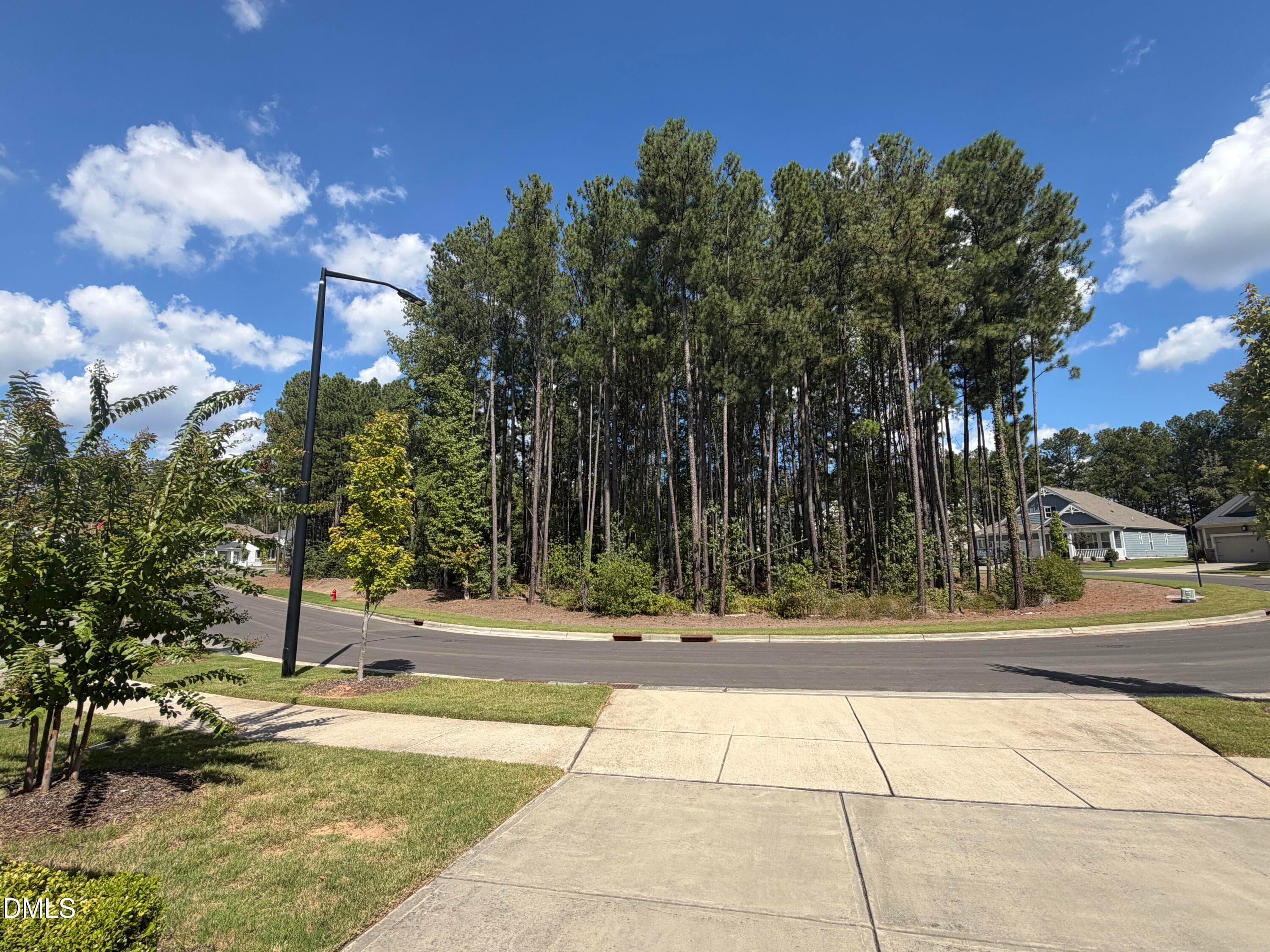 IMG_7494 - 1430 Grangerford Court, Durham, NC 27703