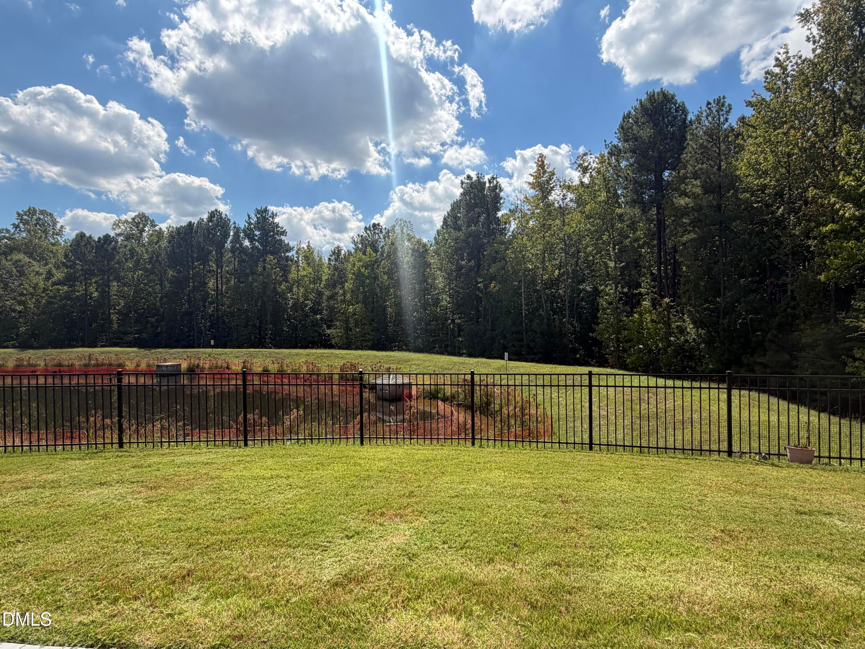 IMG_7508 - 1430 Grangerford Court, Durham, NC 27703